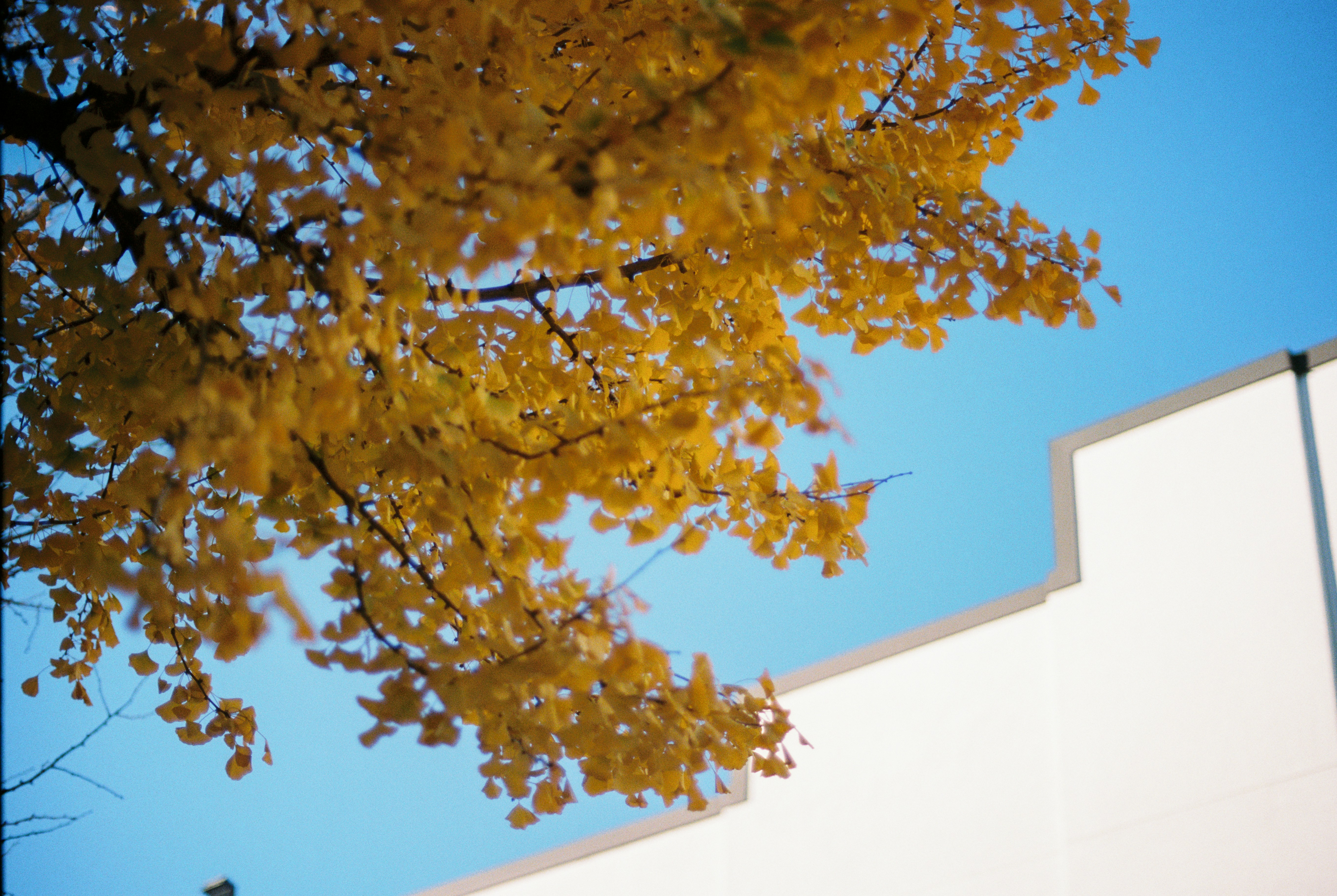 Photo by zhenyao_photo