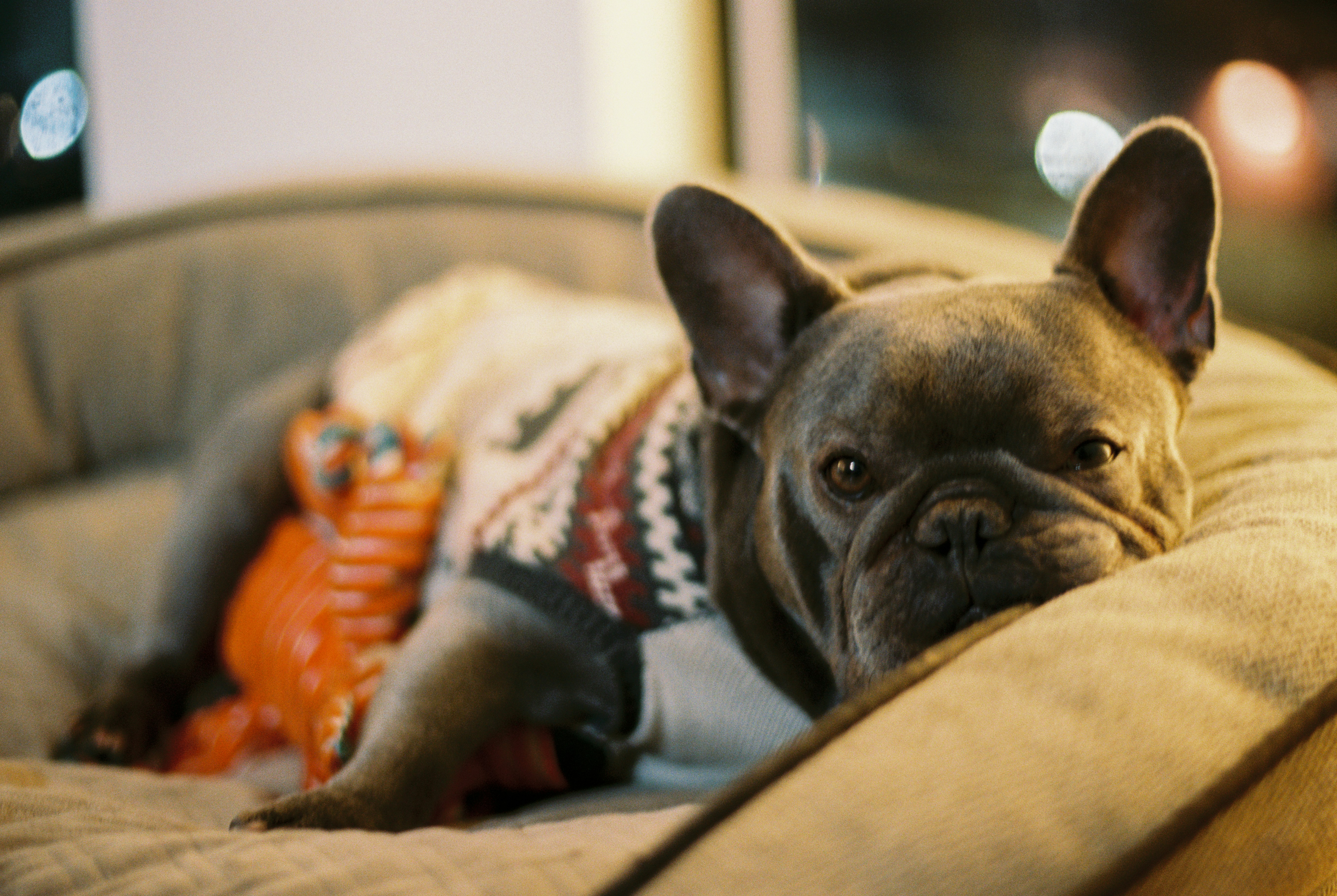 Photo by zhenyao_photo