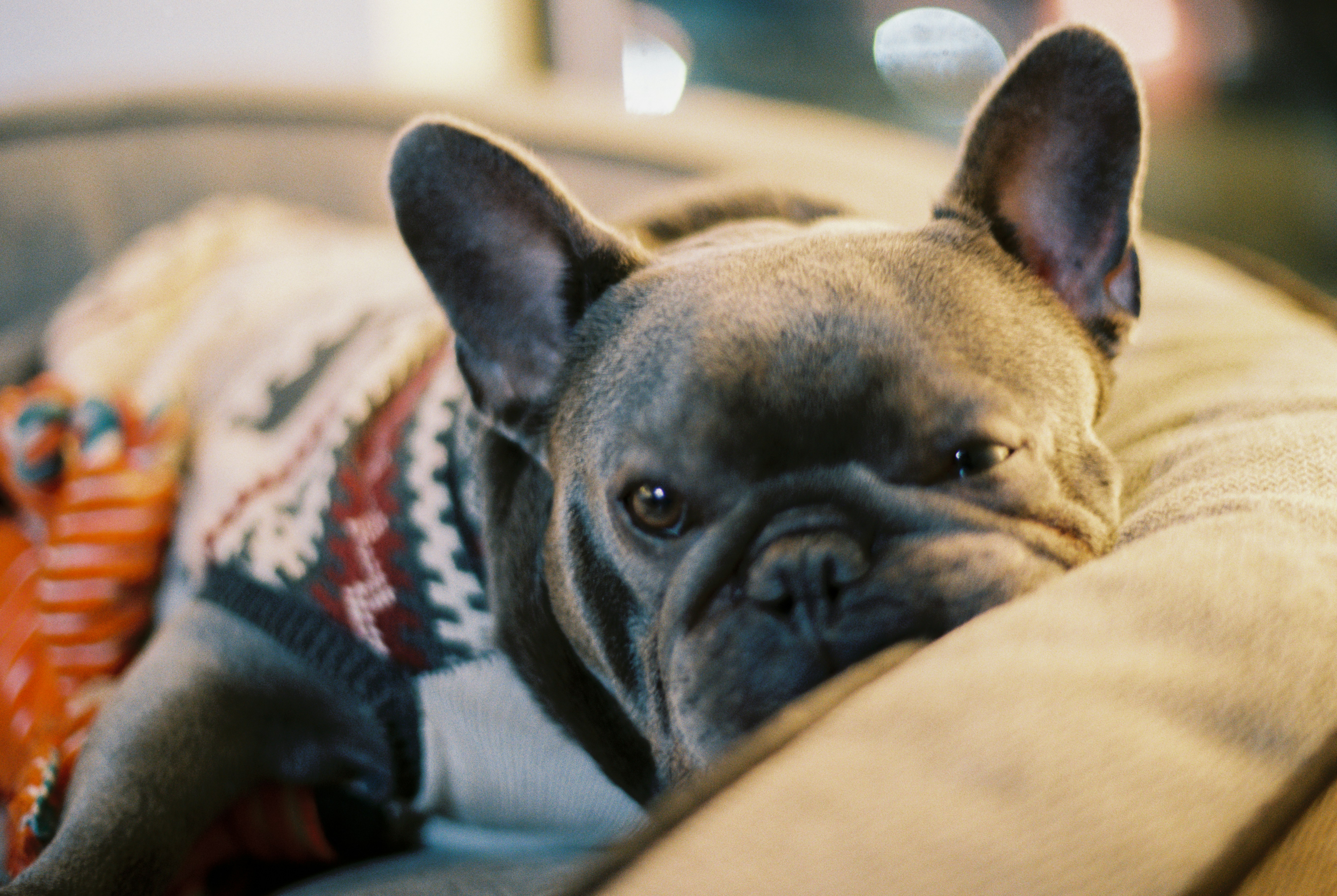 Photo by zhenyao_photo