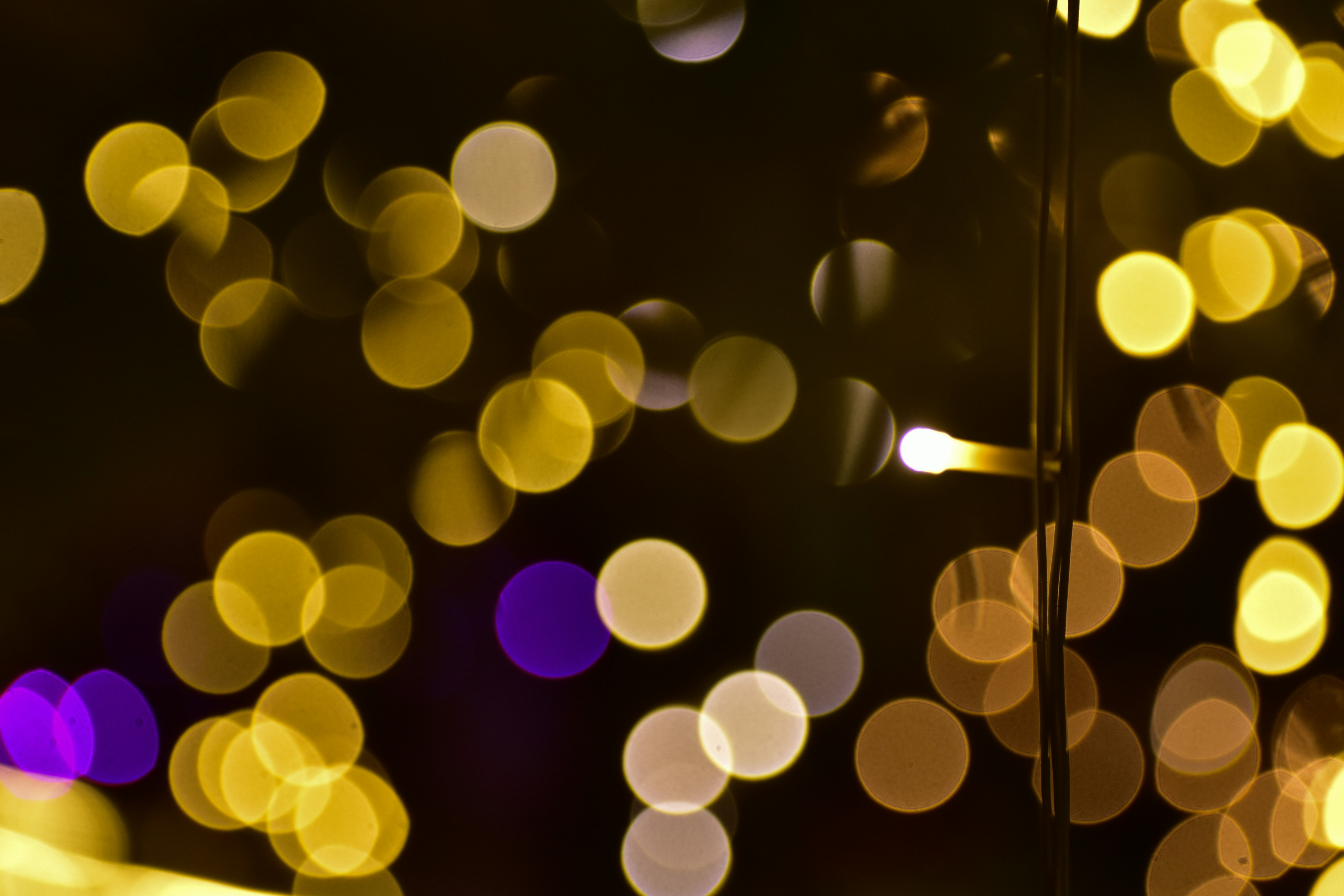 Photo by neelakshi_singh_