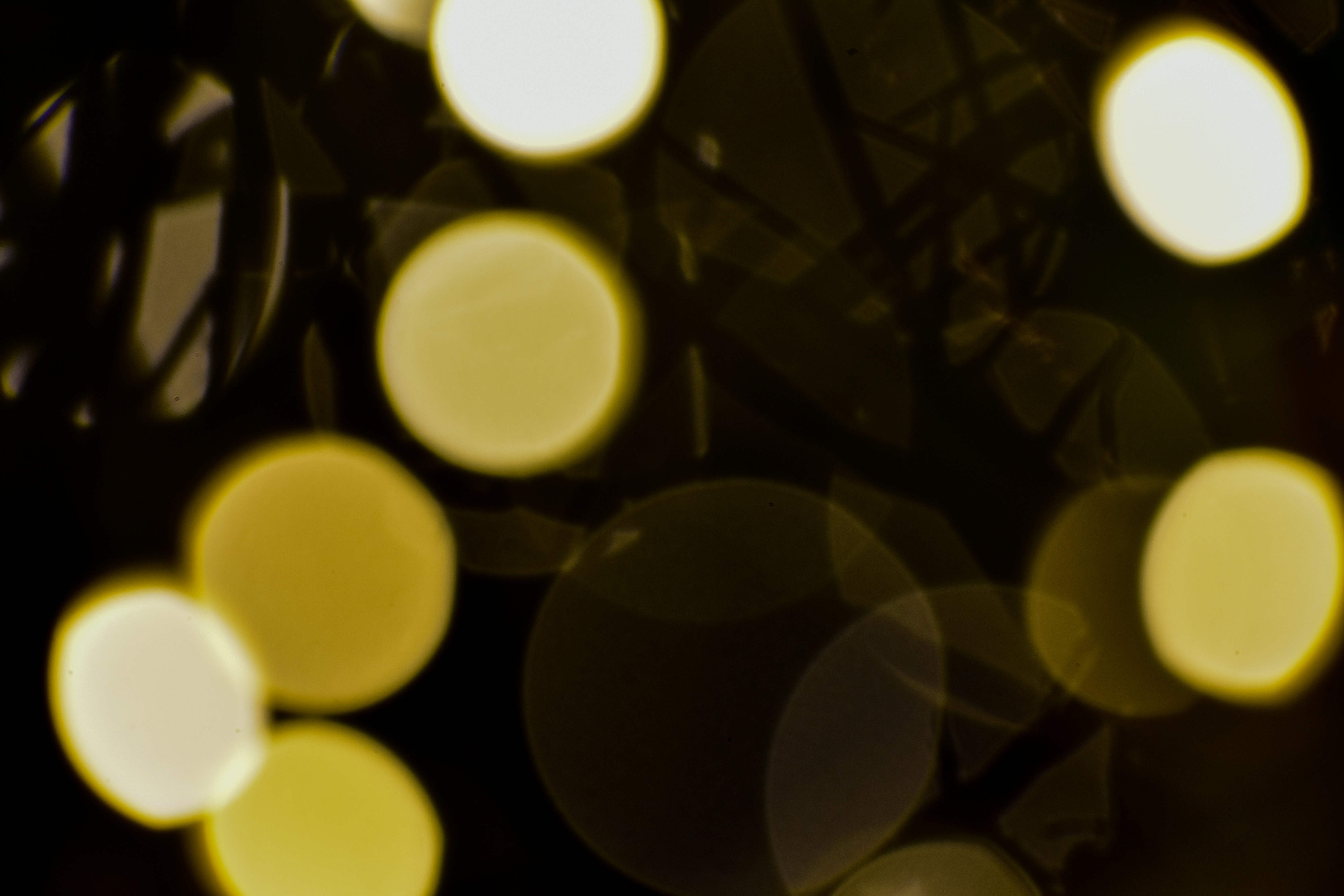 Photo by neelakshi_singh_