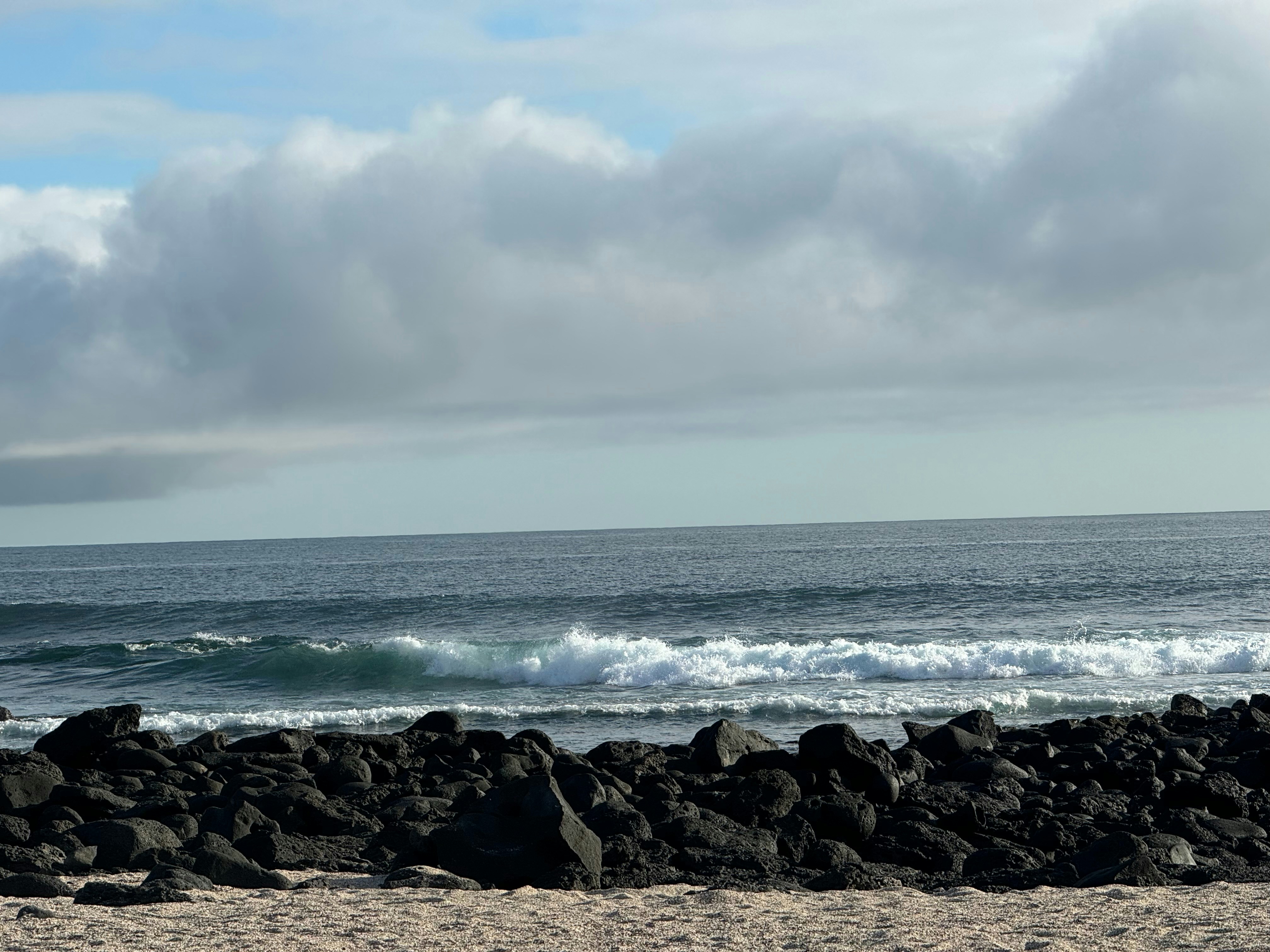 Photo by seandoherty886