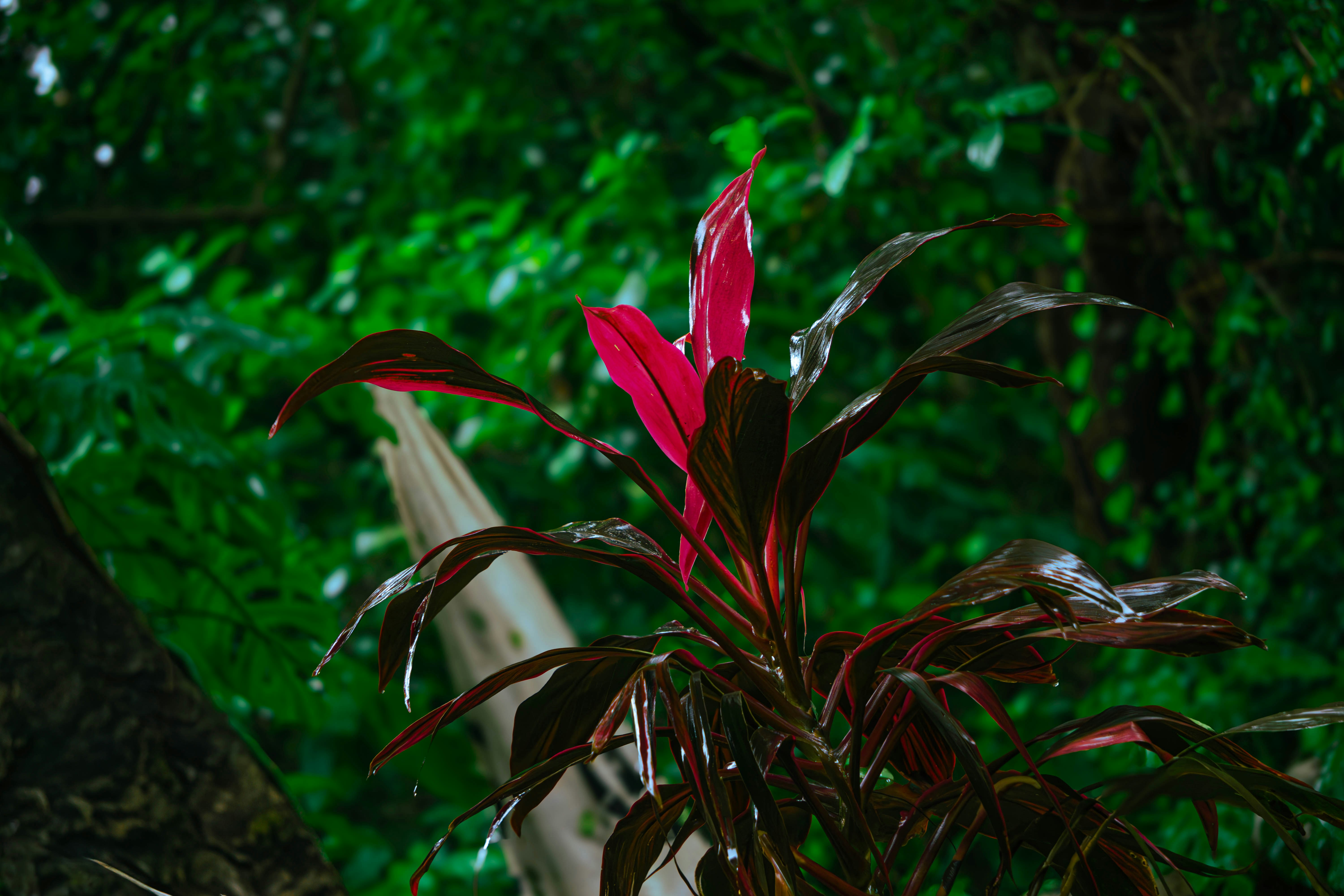 Photo by ritik_captures