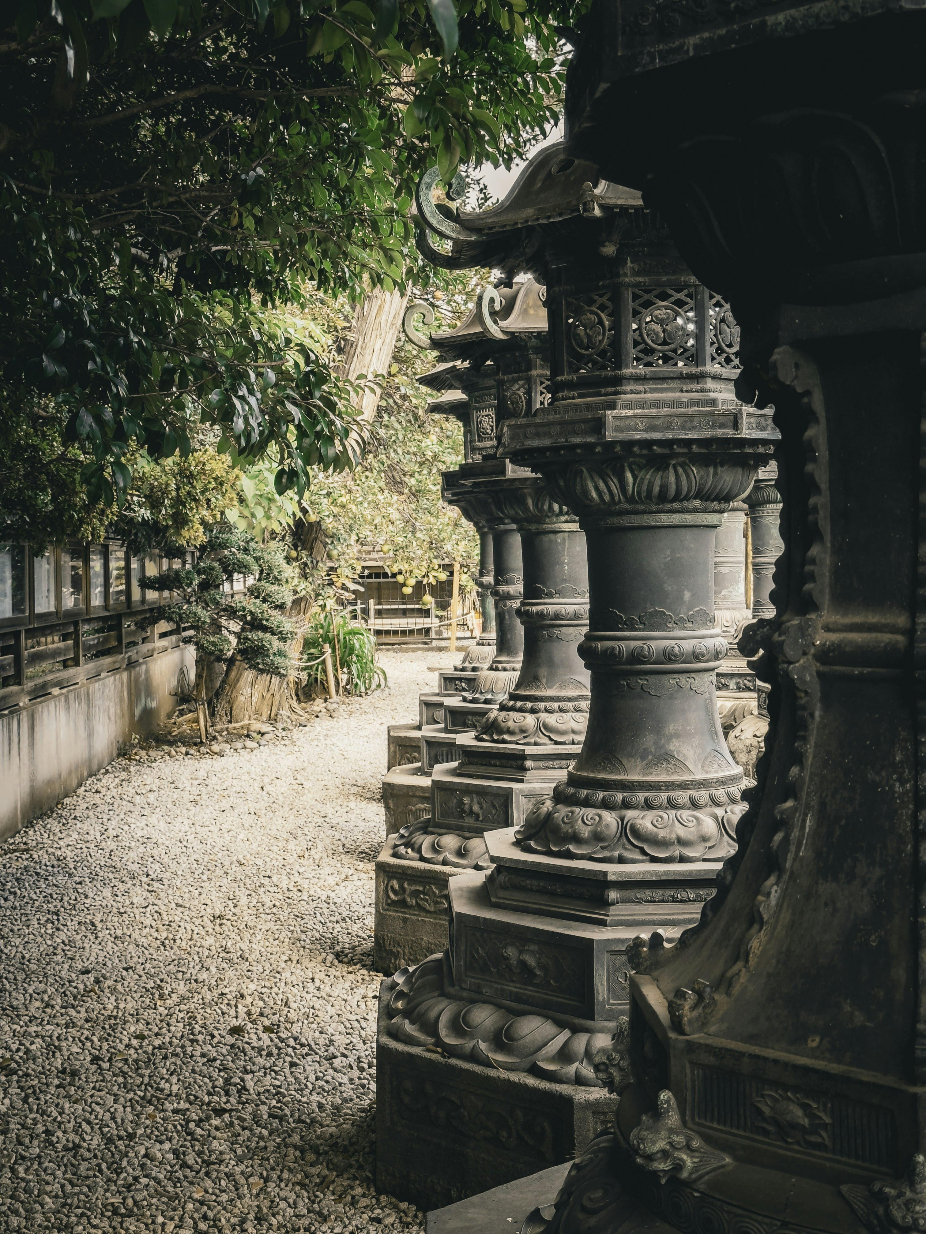 Photo by maciek_grzybek