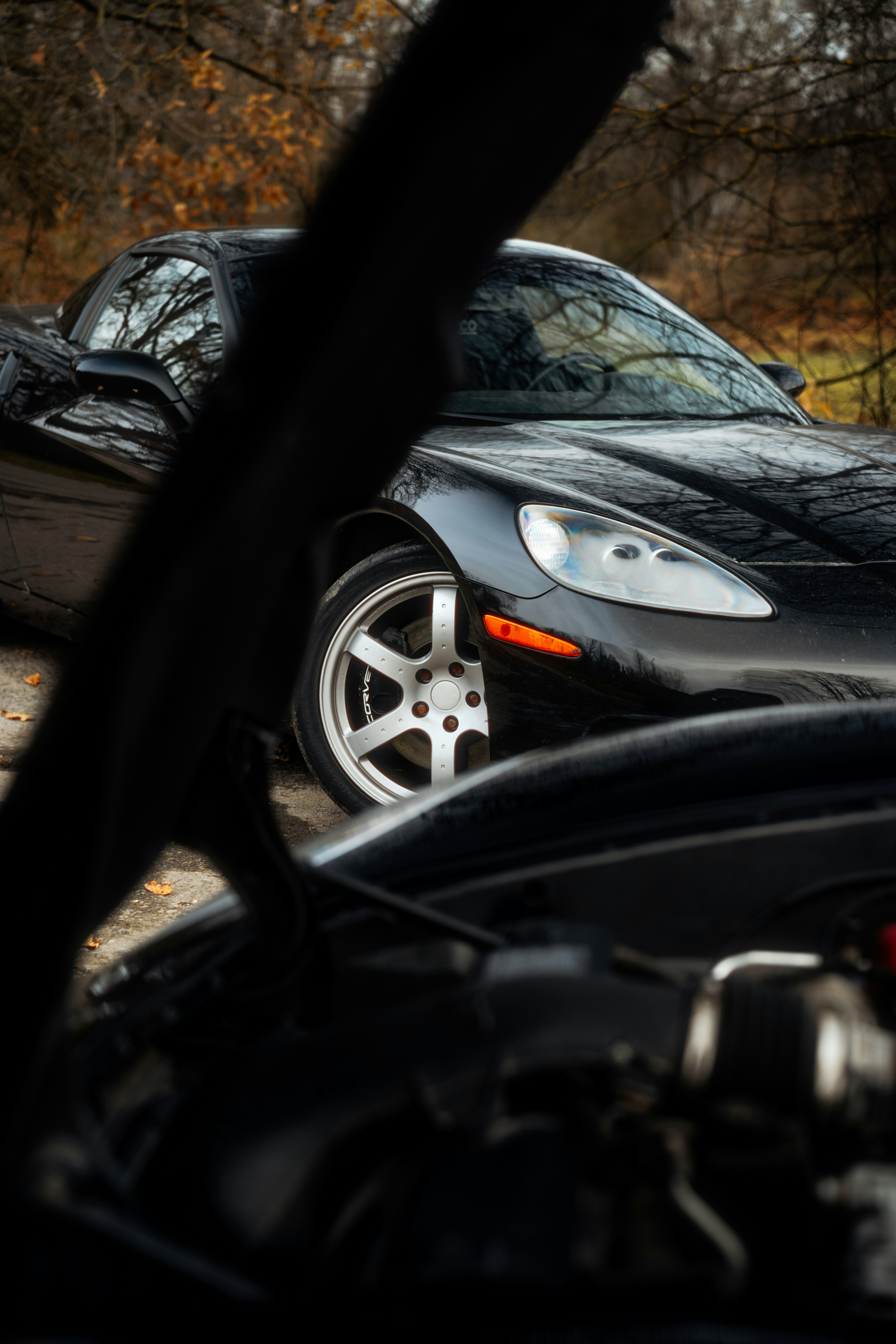 Photo by venajeborec