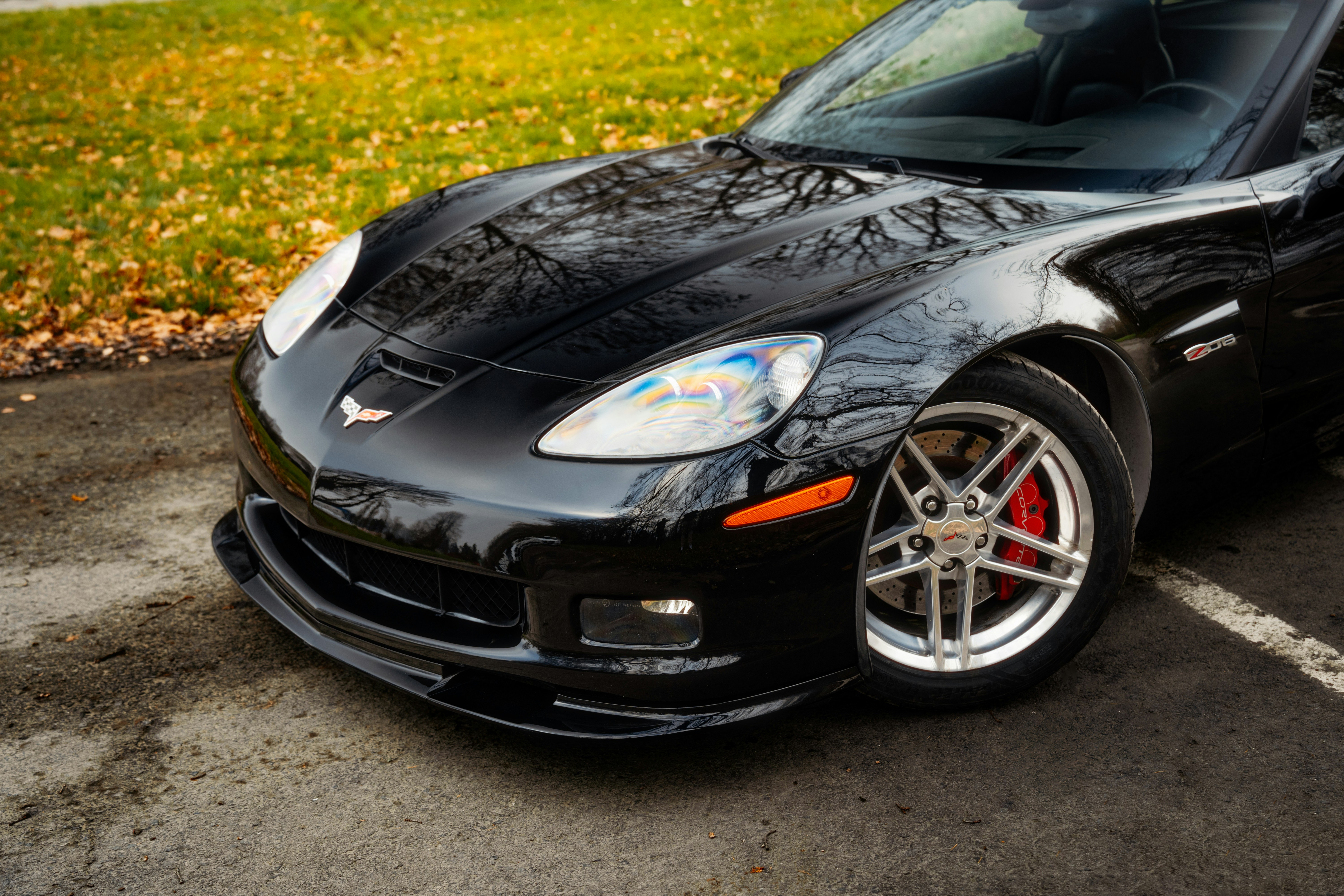 Photo by venajeborec