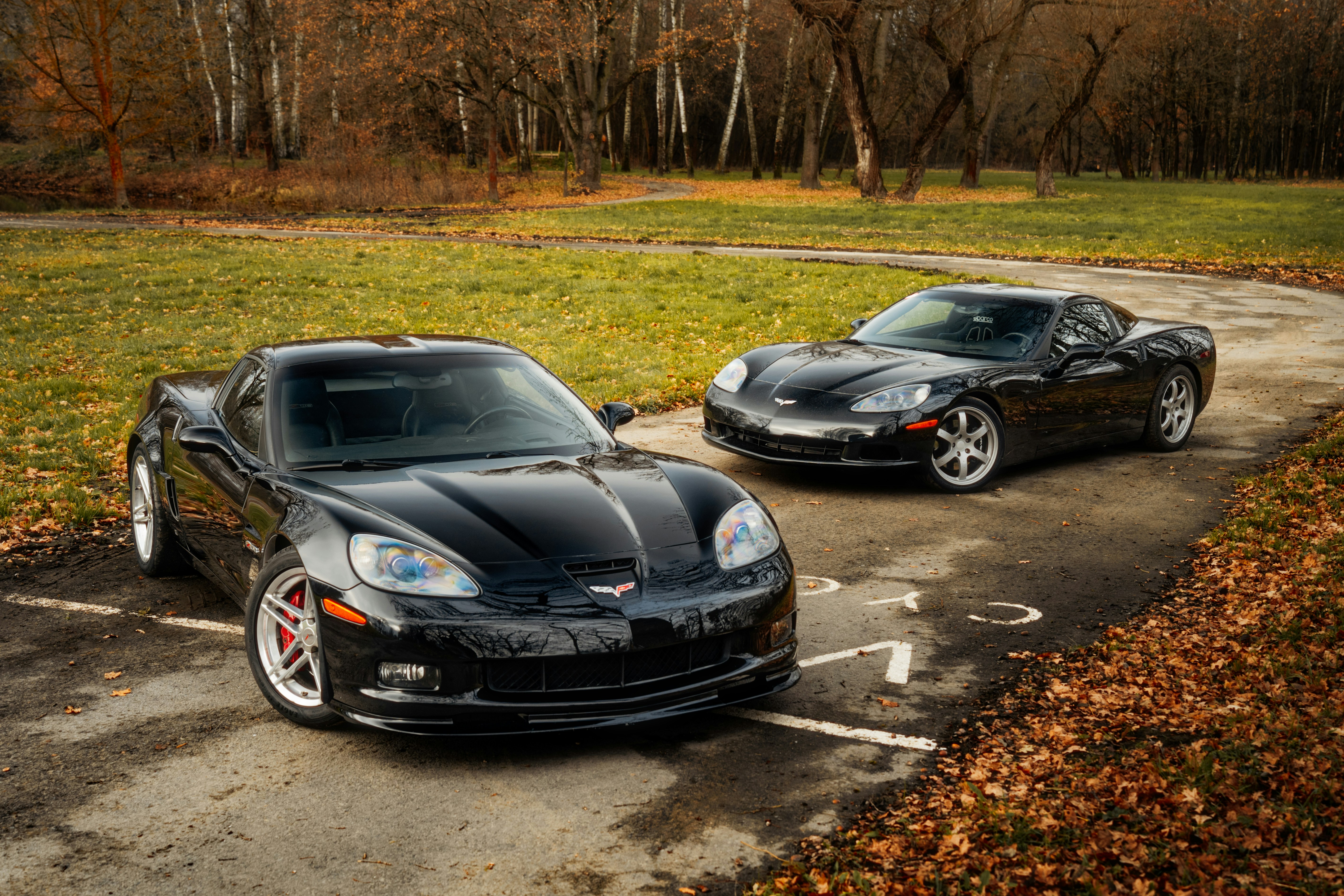 Photo by venajeborec