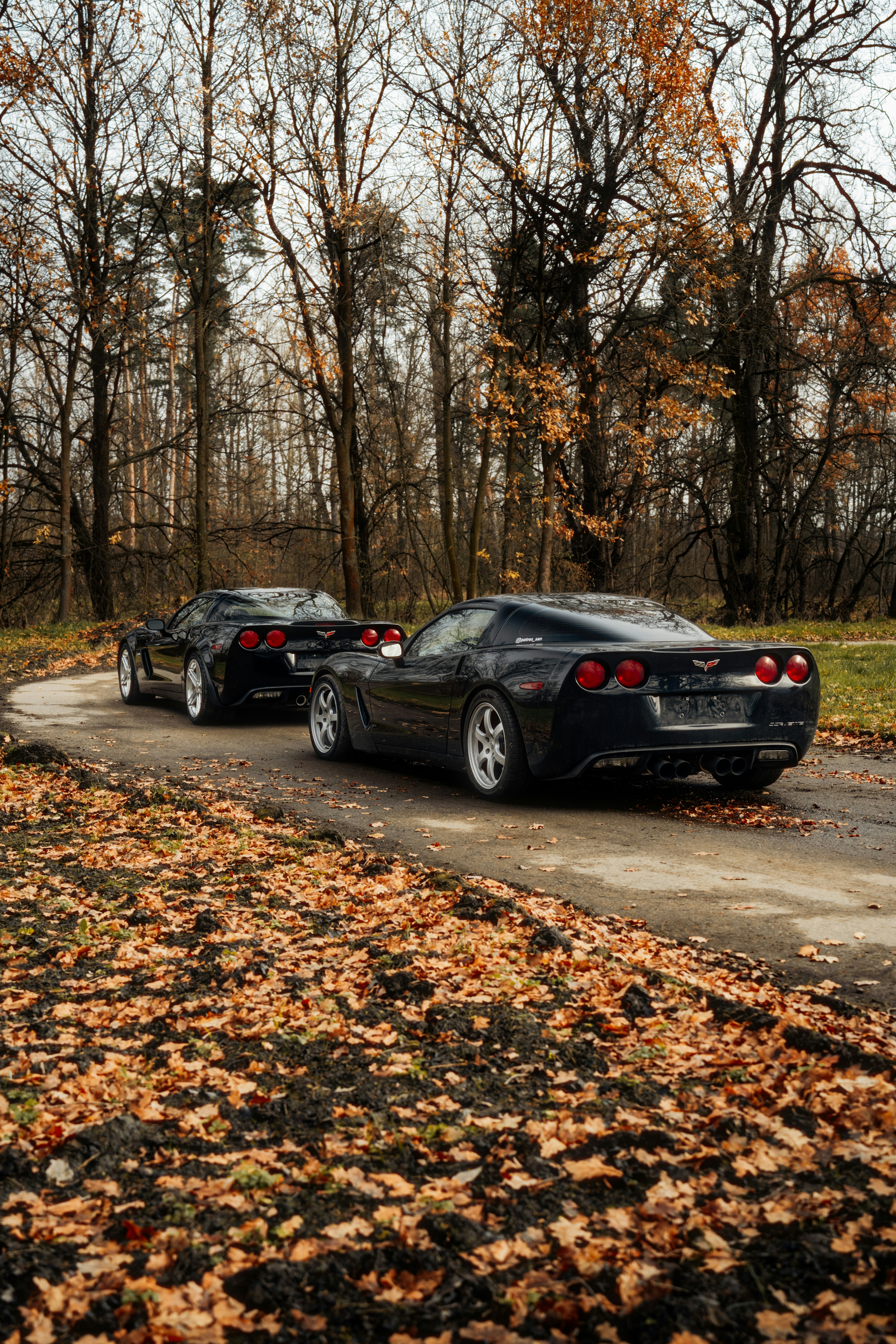 Photo by venajeborec