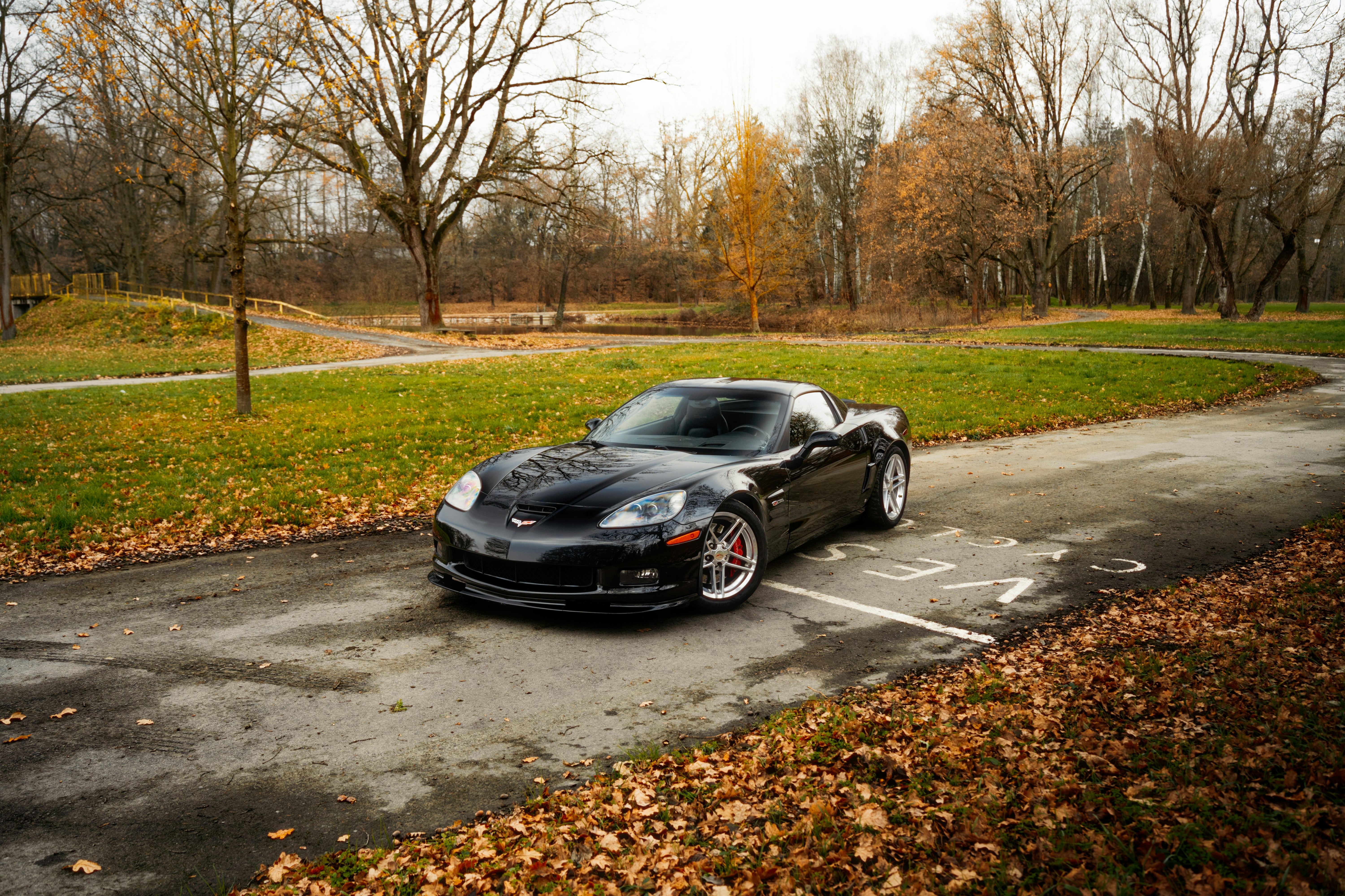 Photo by venajeborec