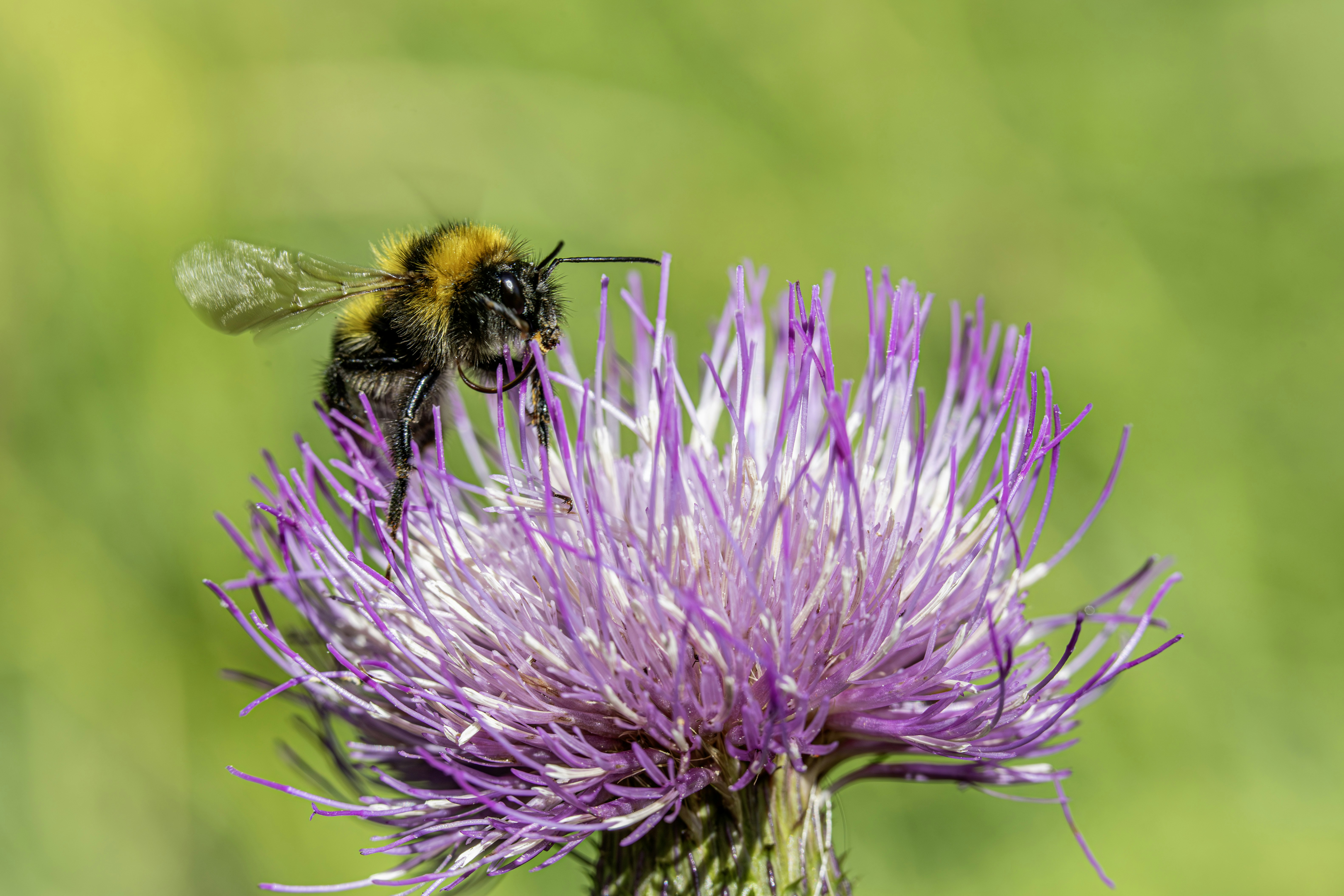 Photo by erik_karits