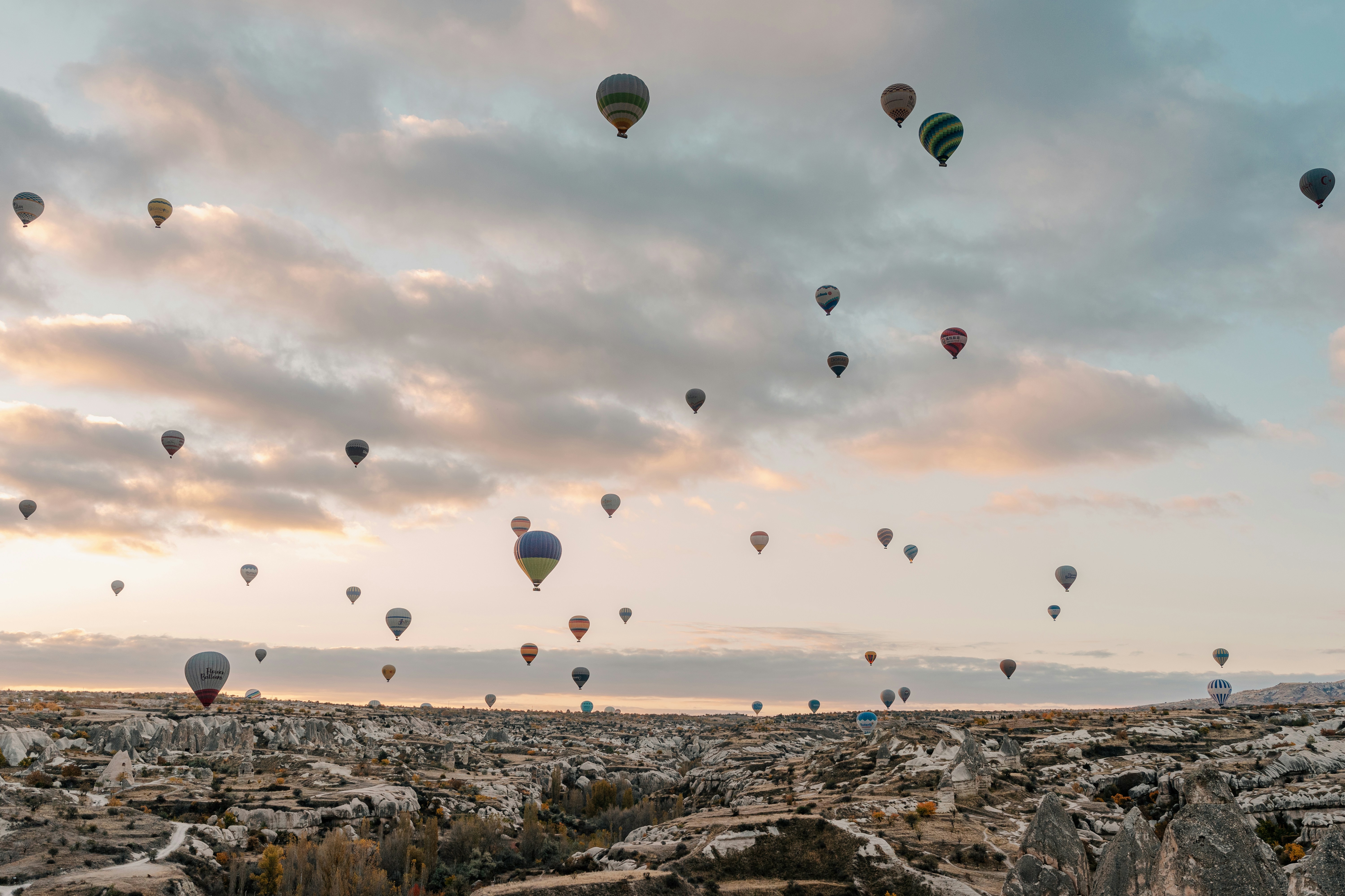 Photo by igorharrier