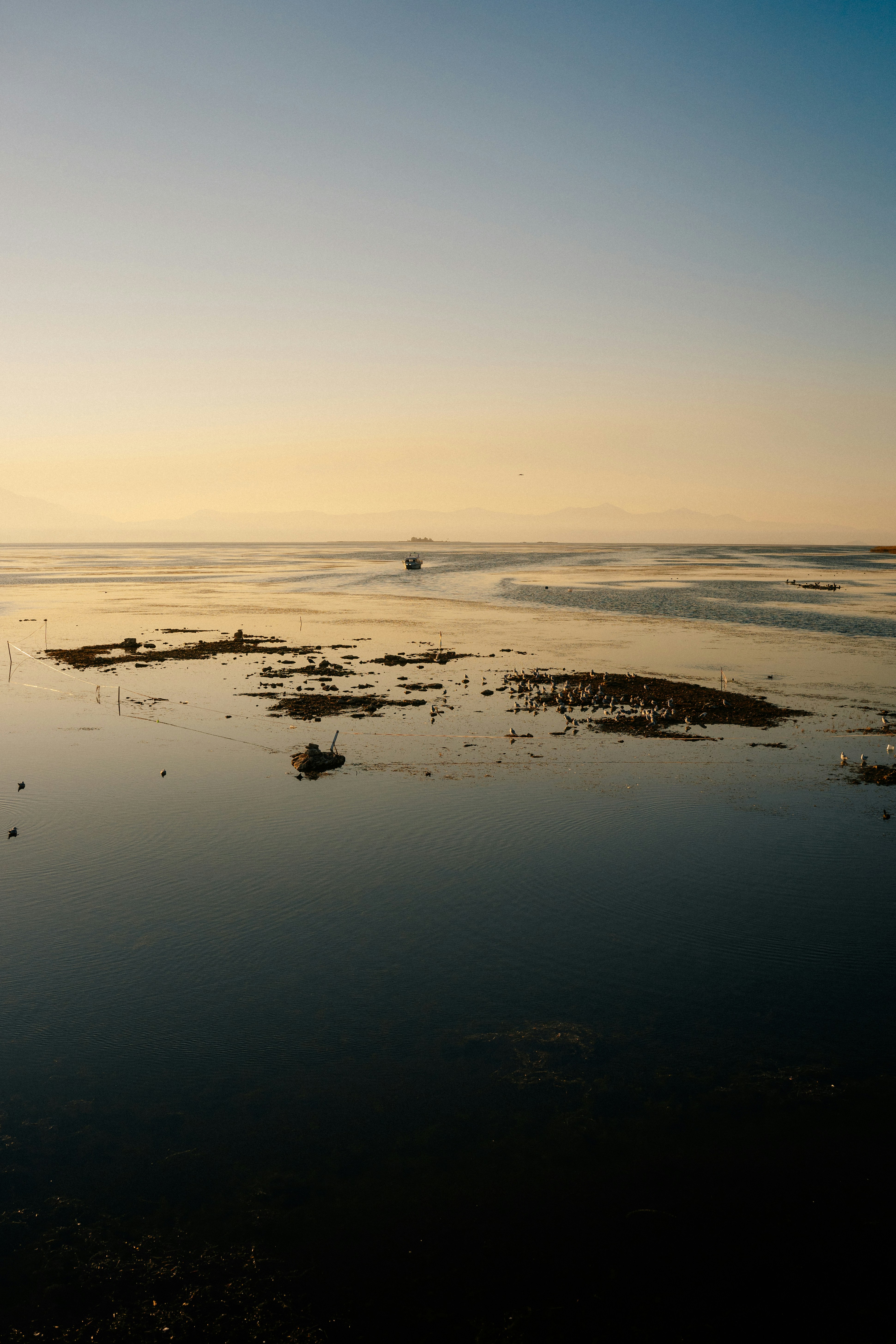 Photo by igorharrier