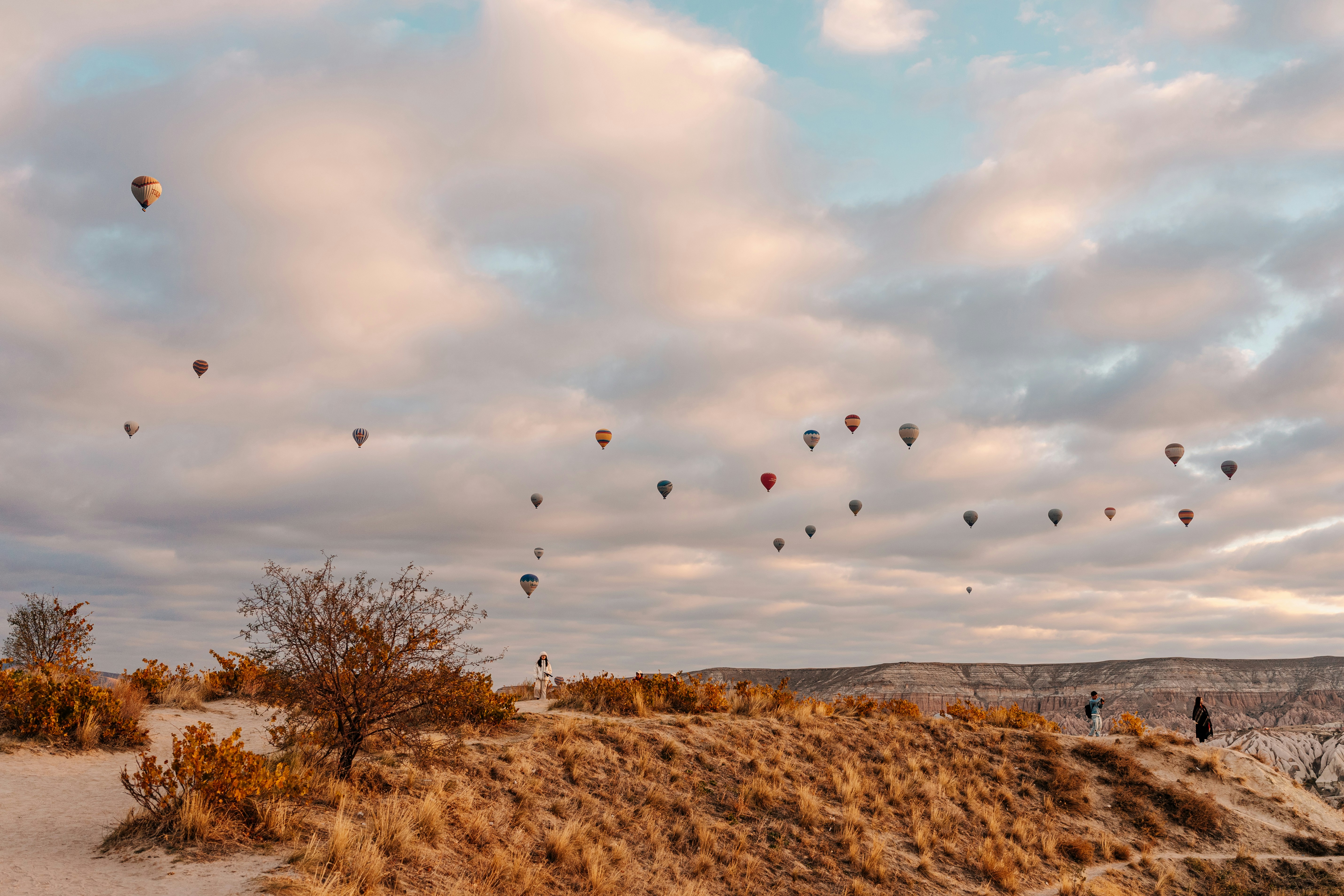 A bunch of hot air balloons flying in the sky