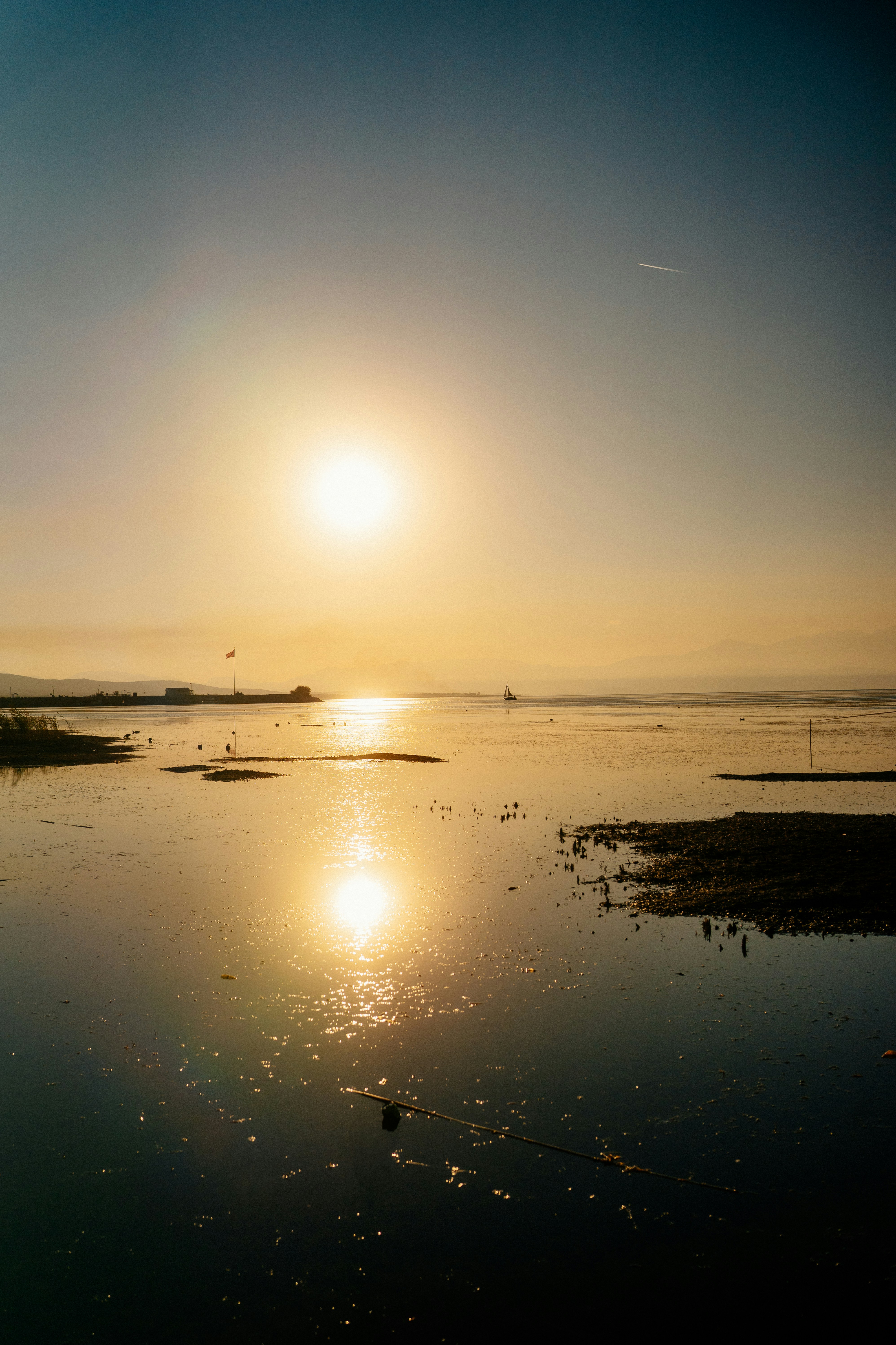 Photo by igorharrier