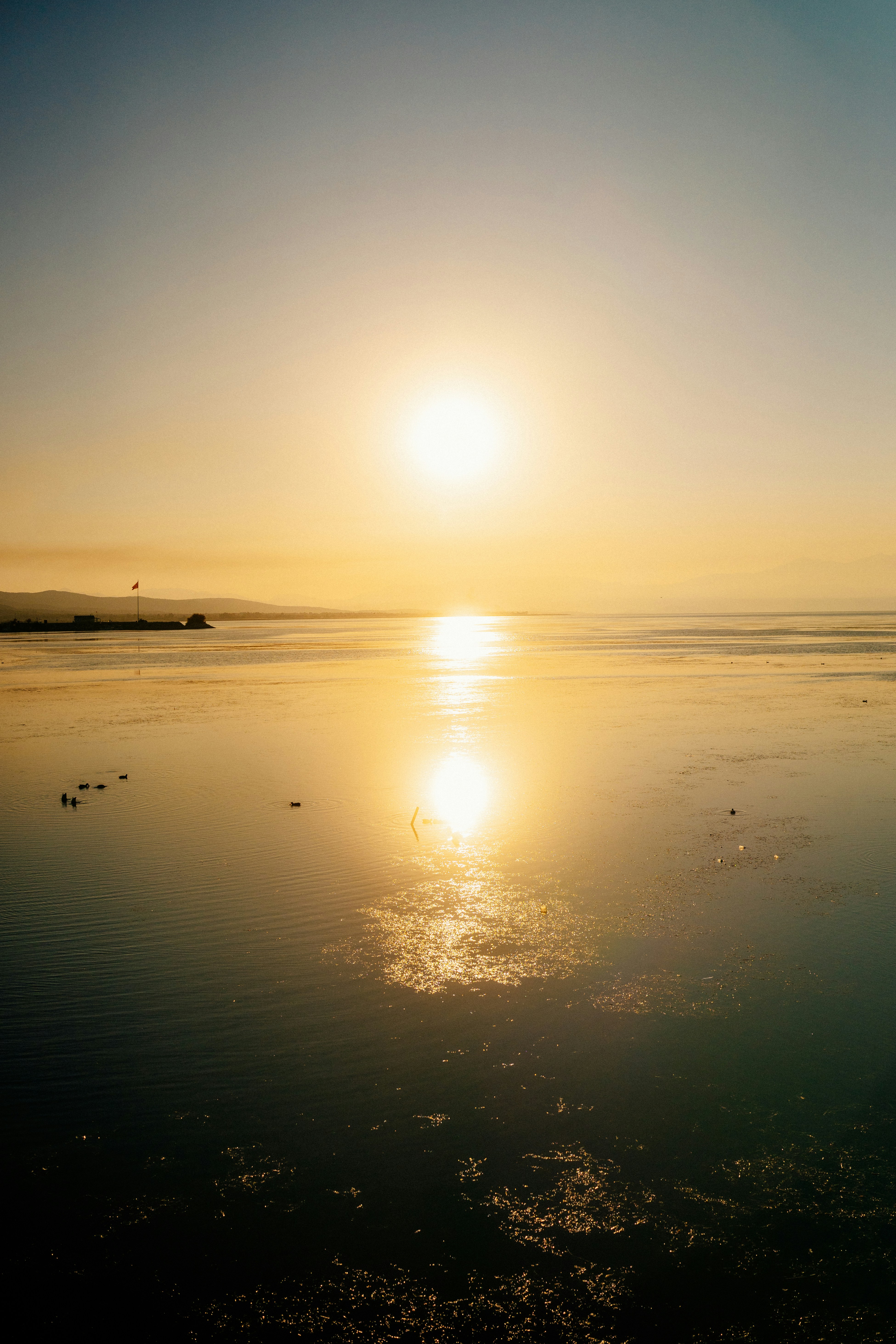 Photo by igorharrier