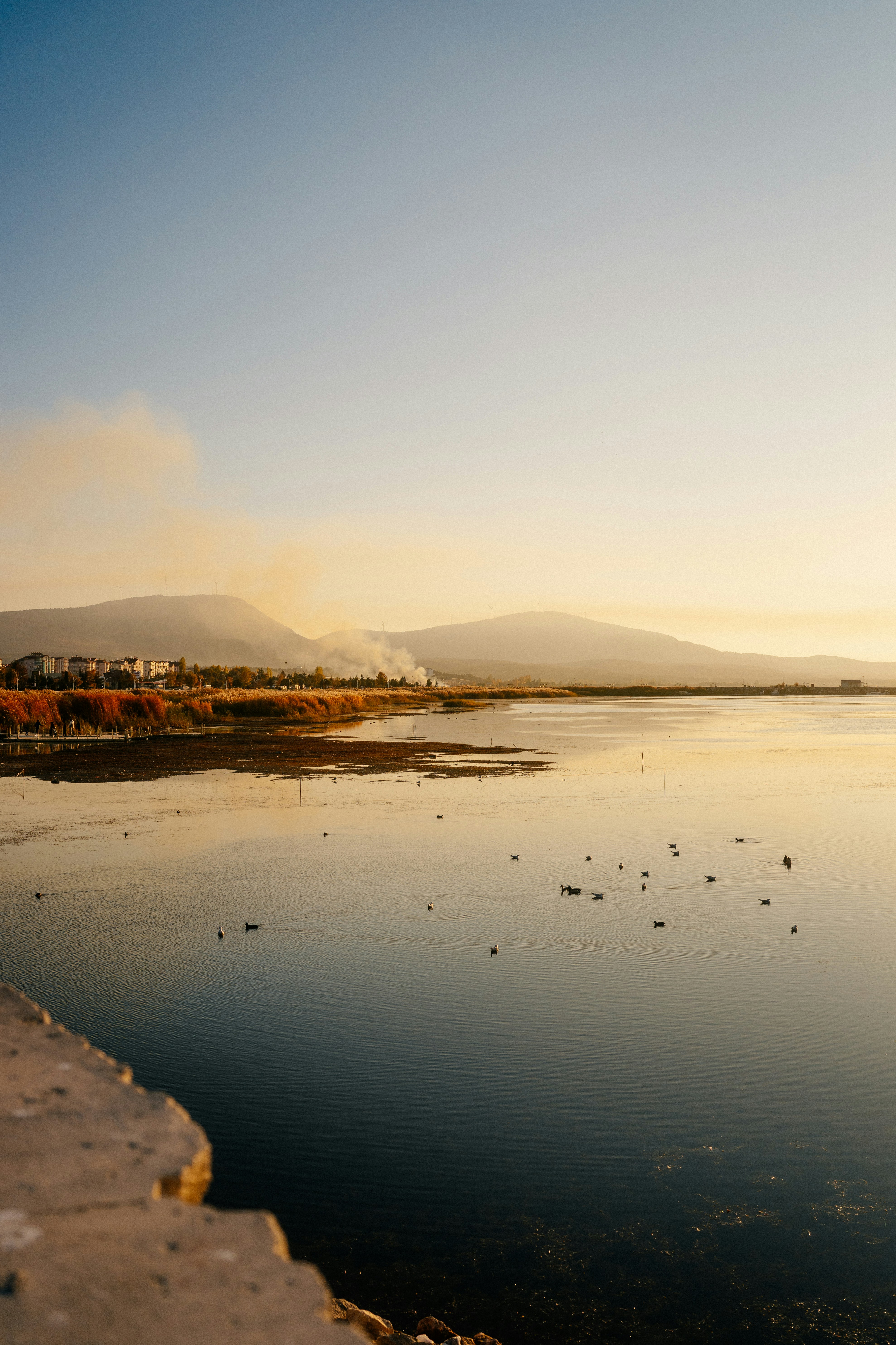 Photo by igorharrier