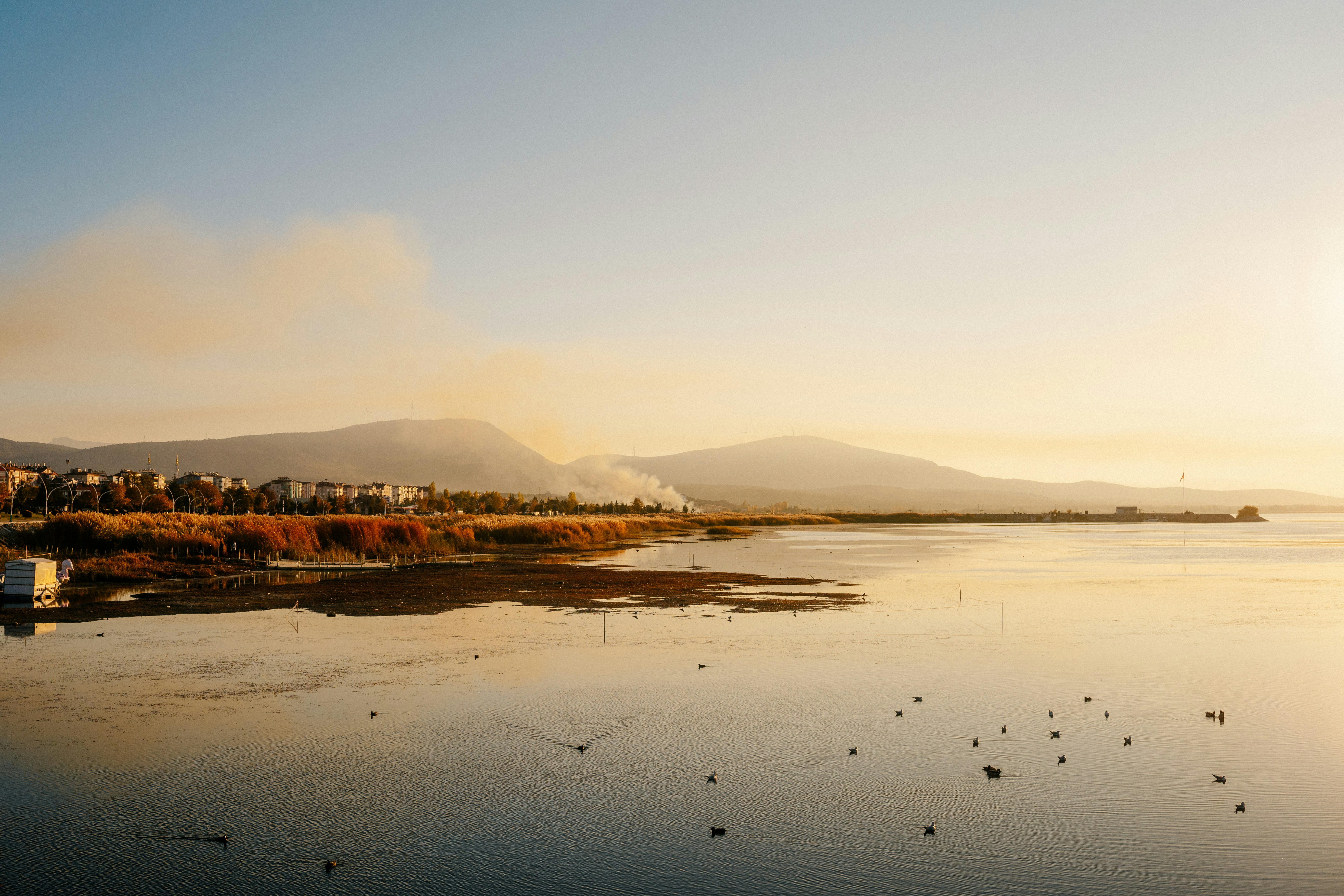 Photo by igorharrier