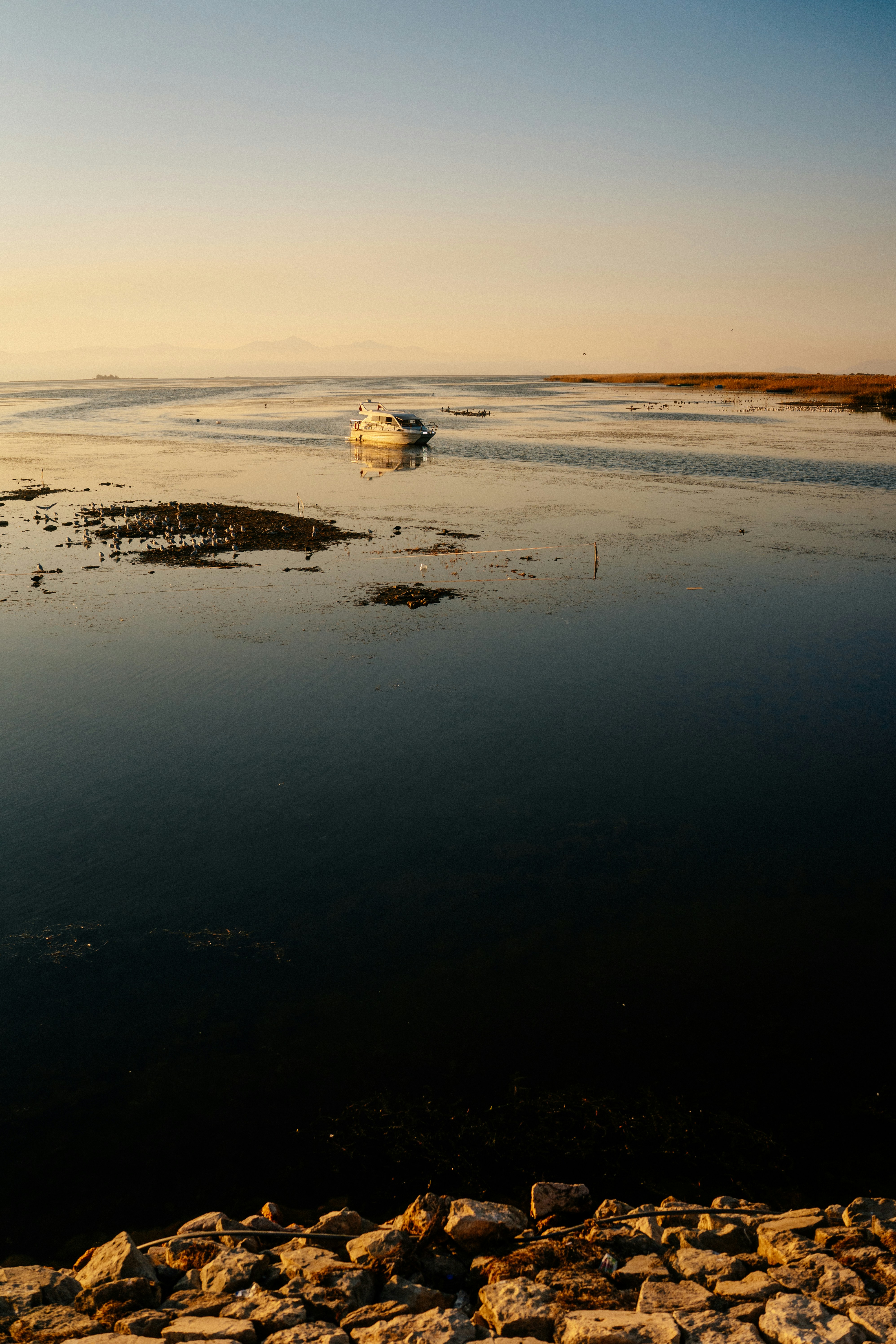 Photo by igorharrier