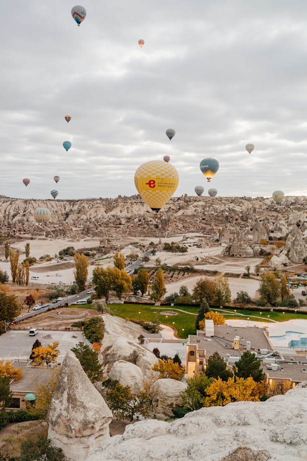 A bunch of hot air balloons flying in the sky