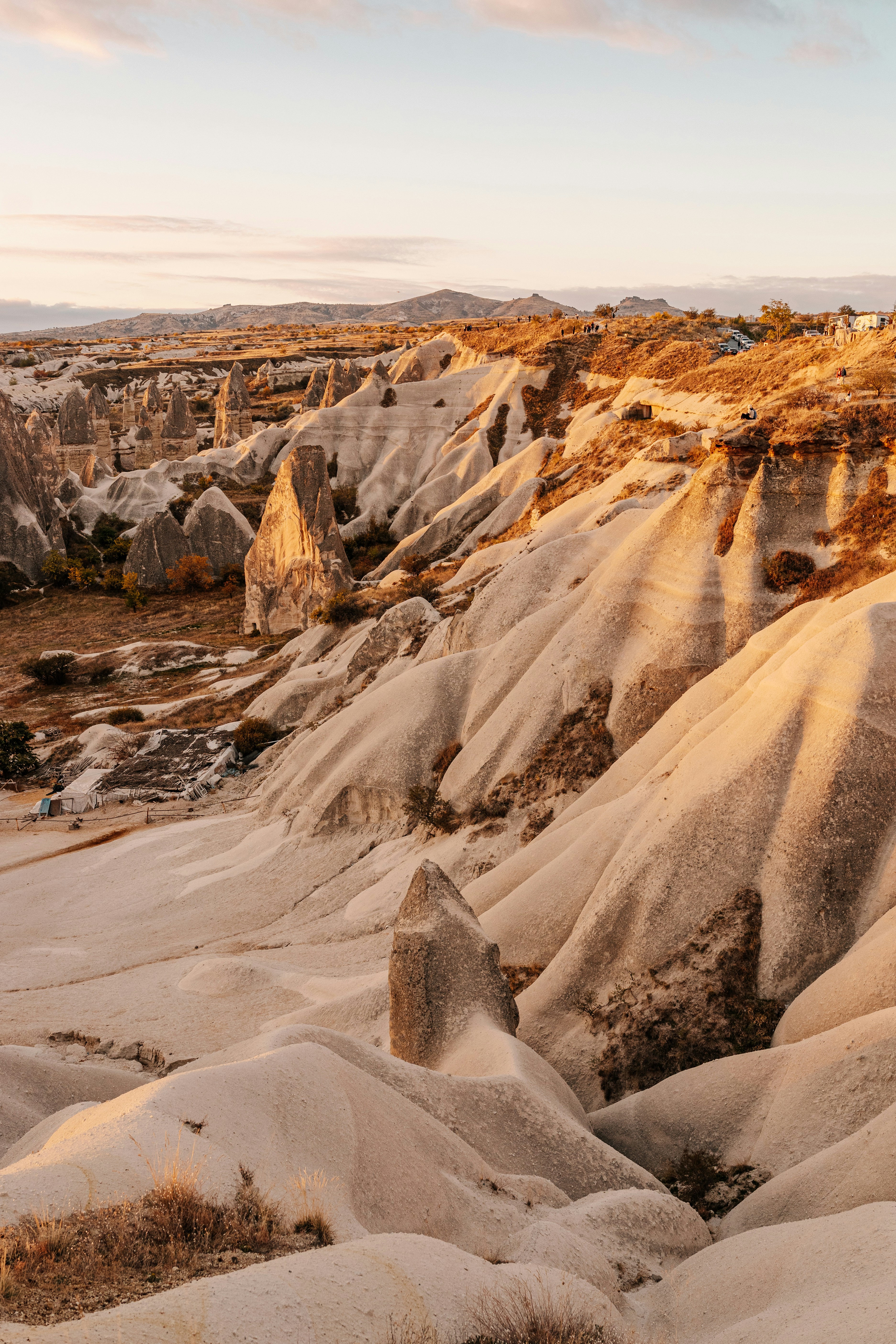 Photo by igorharrier