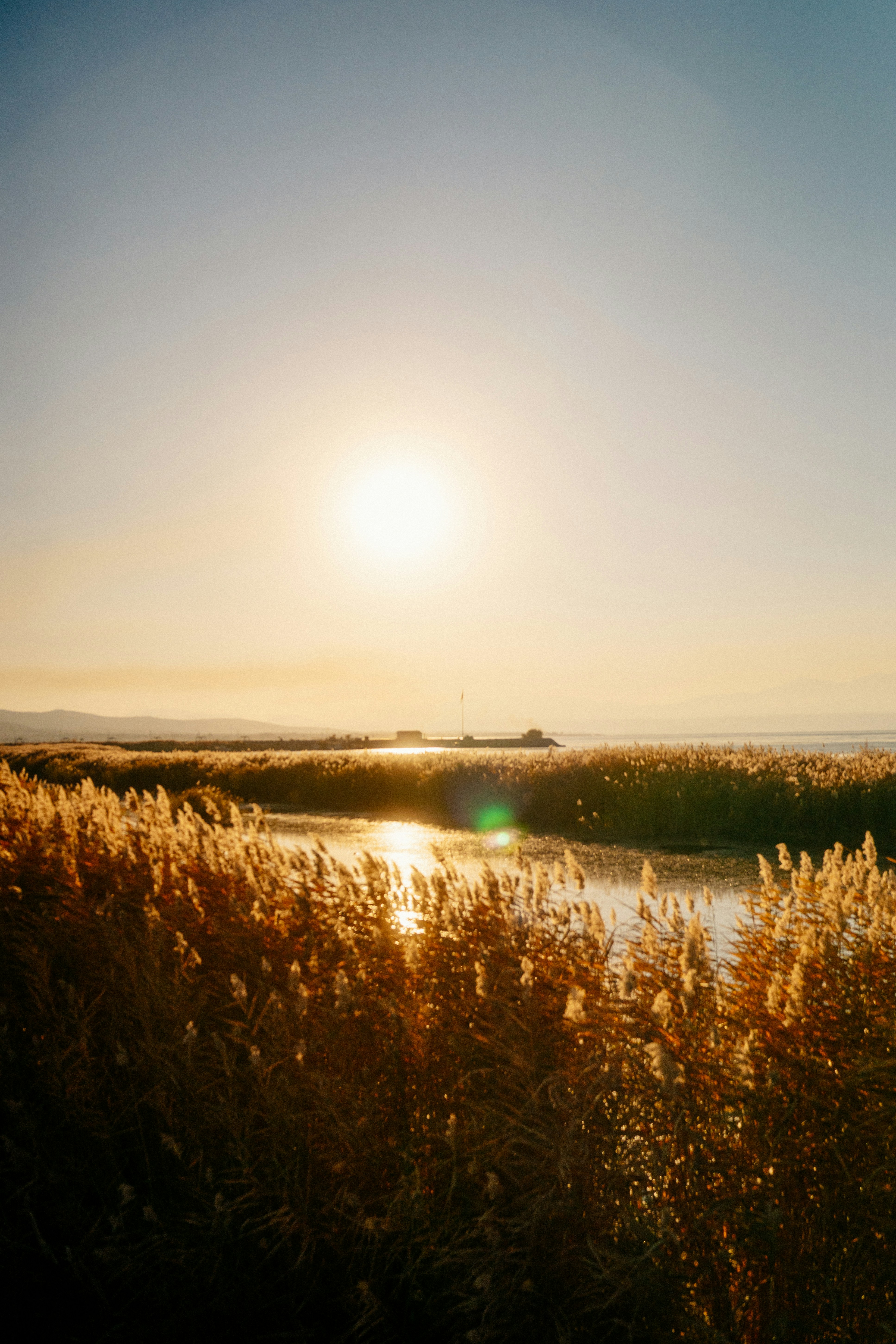 Photo by igorharrier