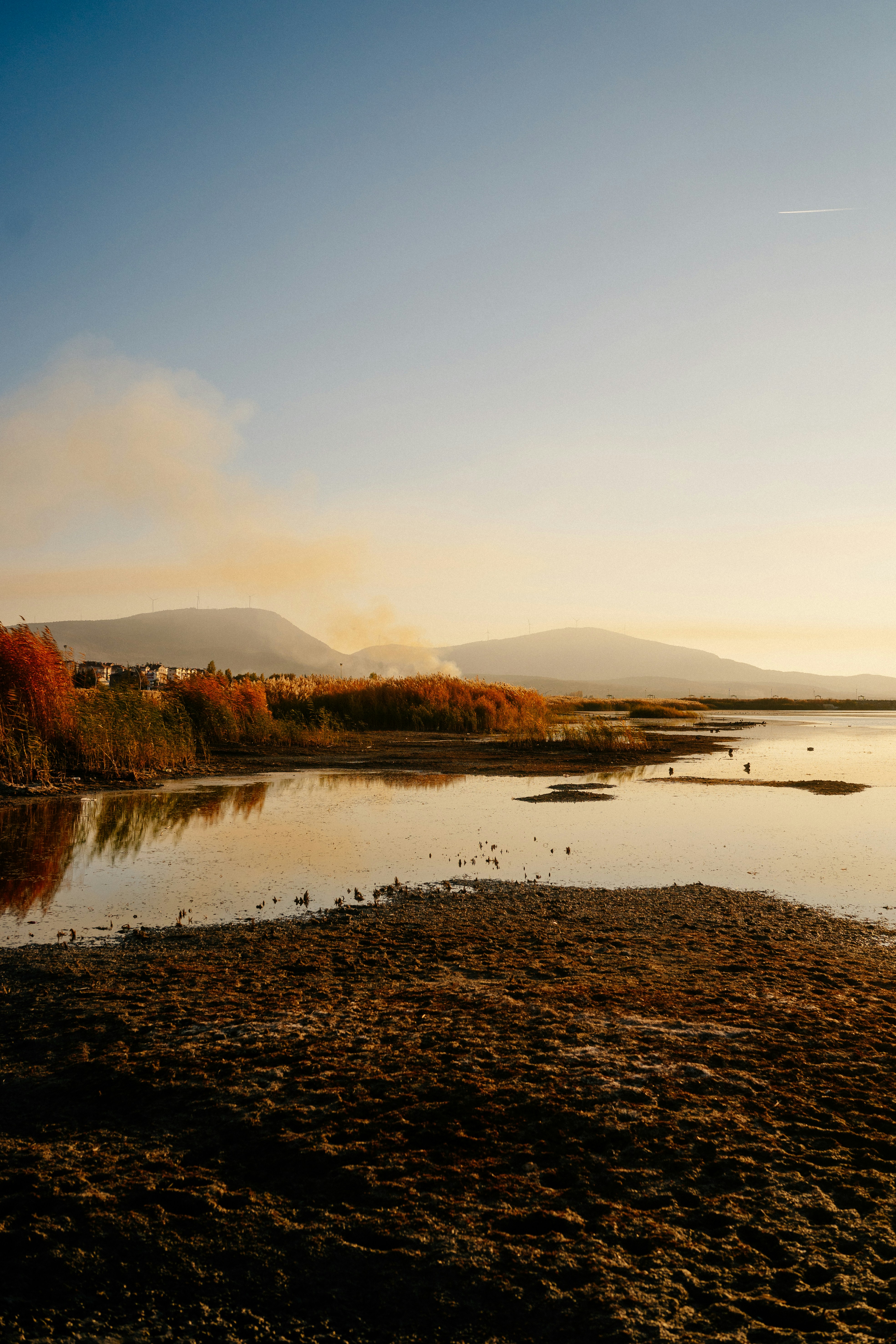 Photo by igorharrier