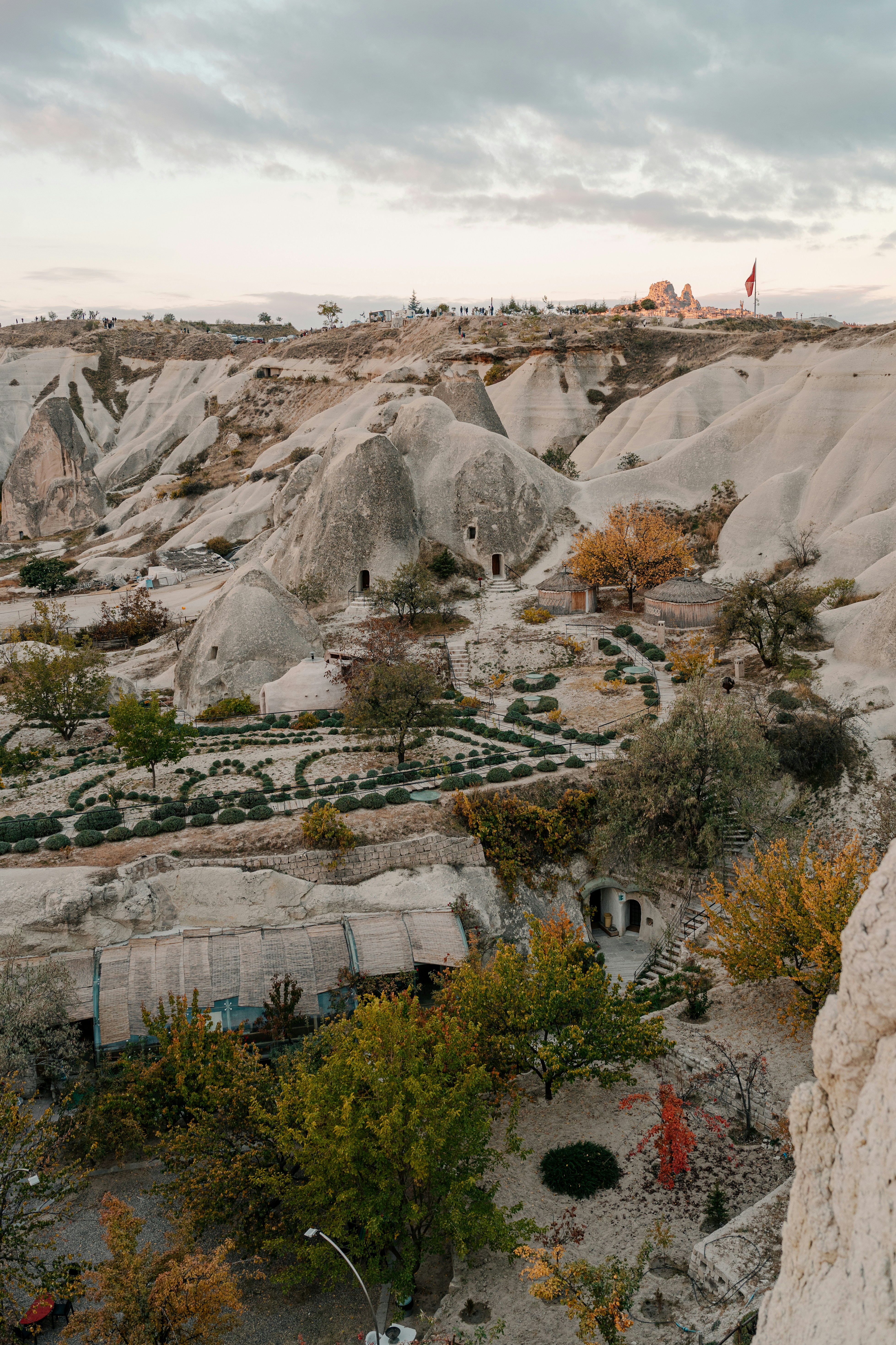 Photo by igorharrier