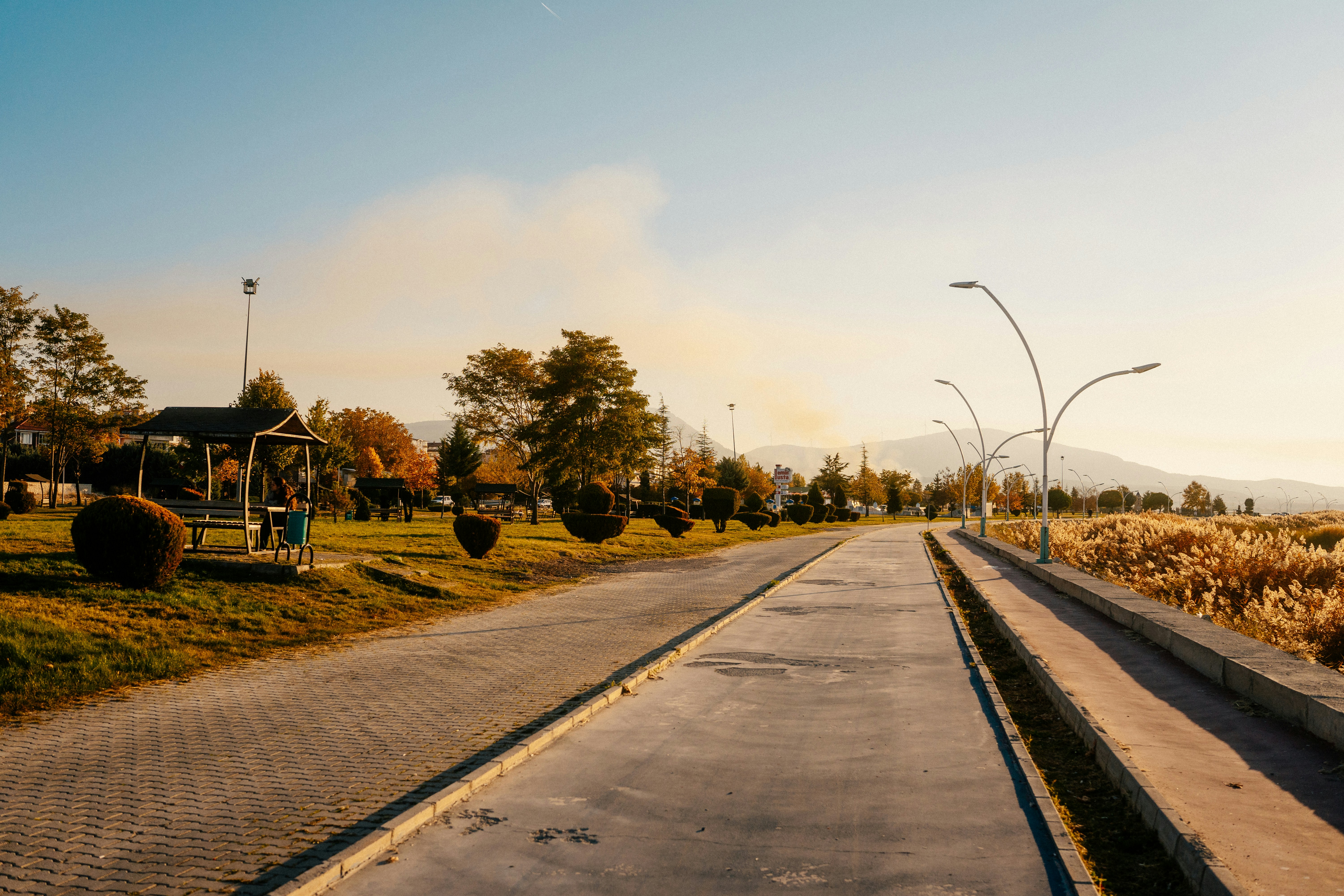 Photo by igorharrier