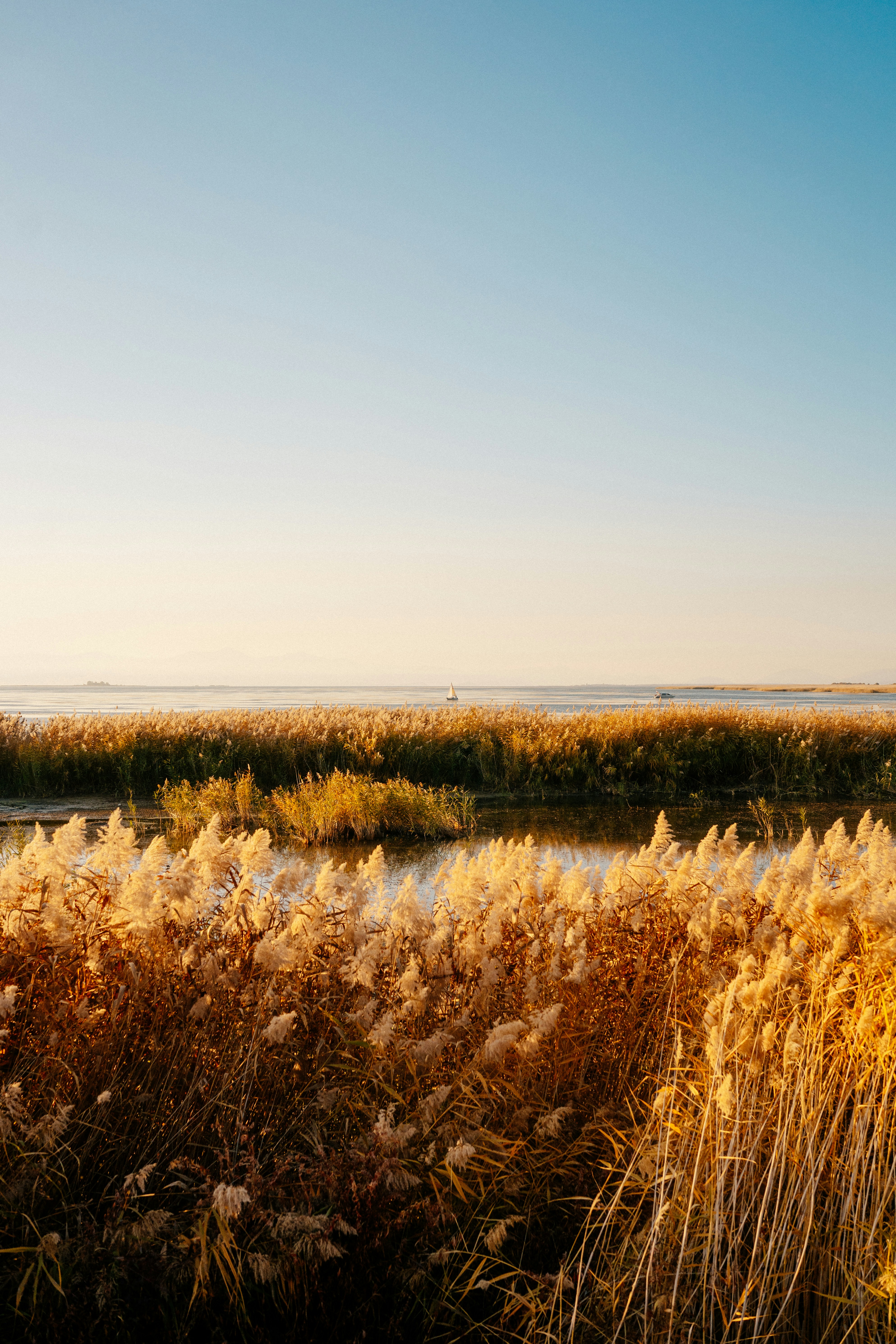 Photo by igorharrier