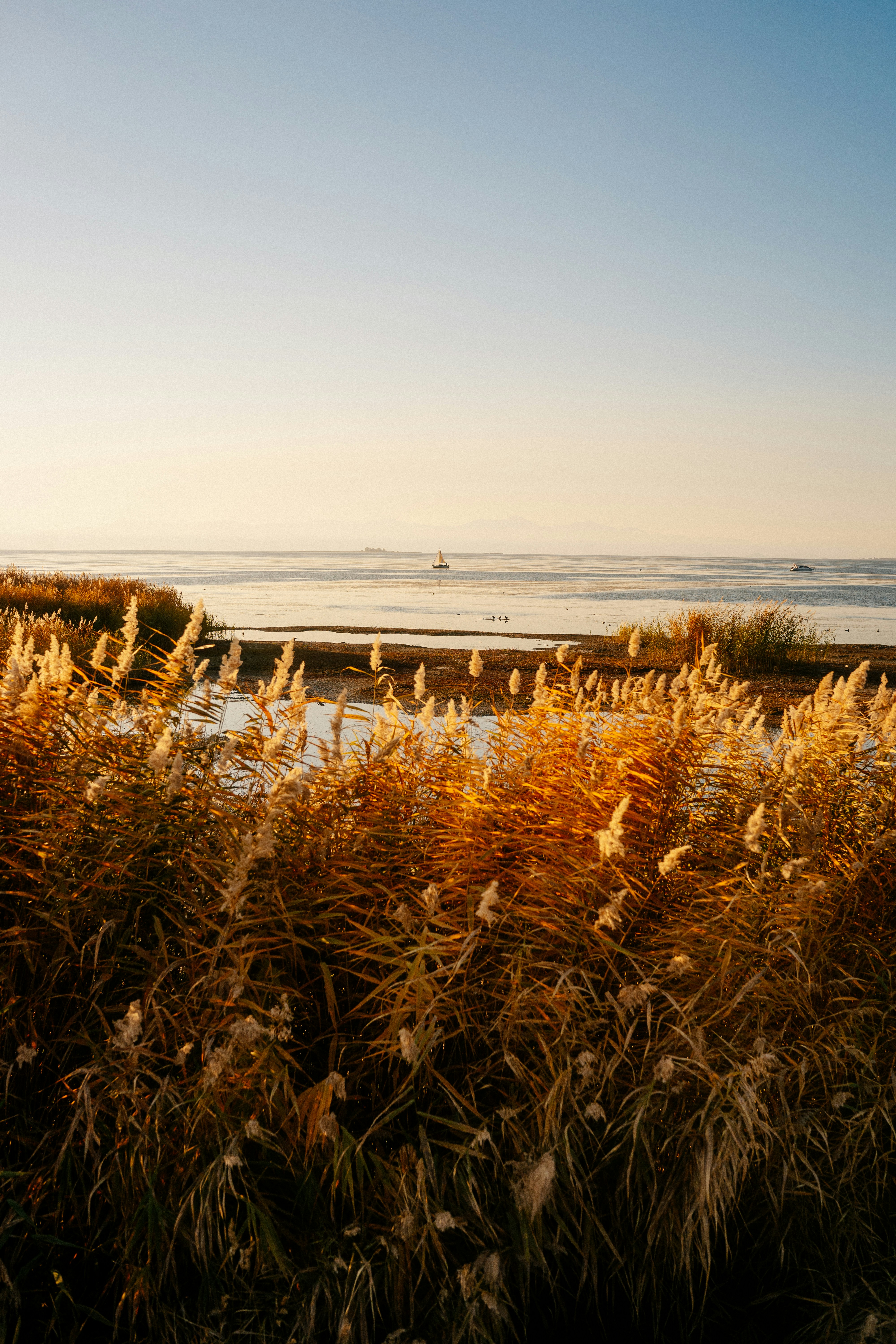 Photo by igorharrier