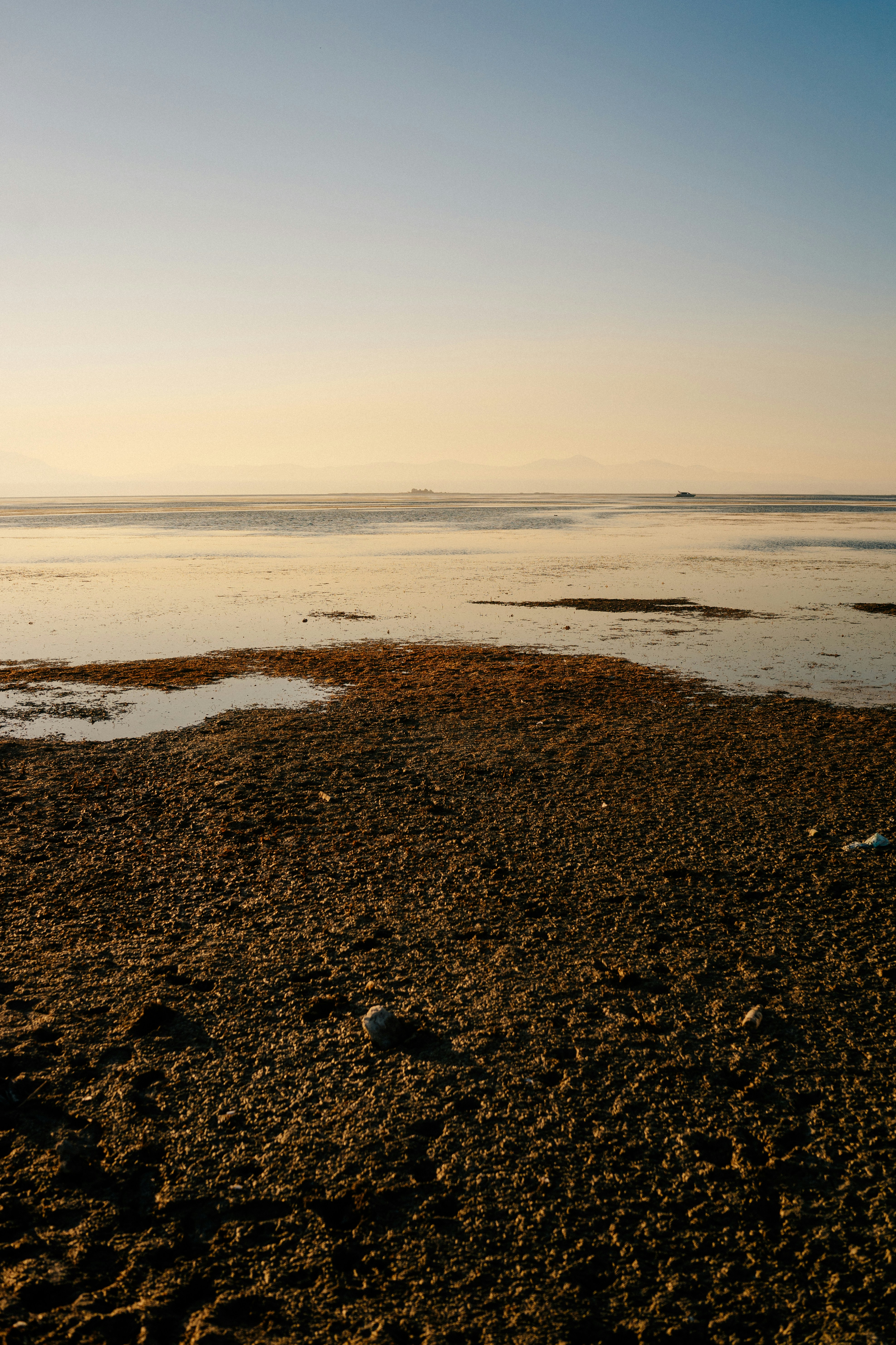 Photo by igorharrier