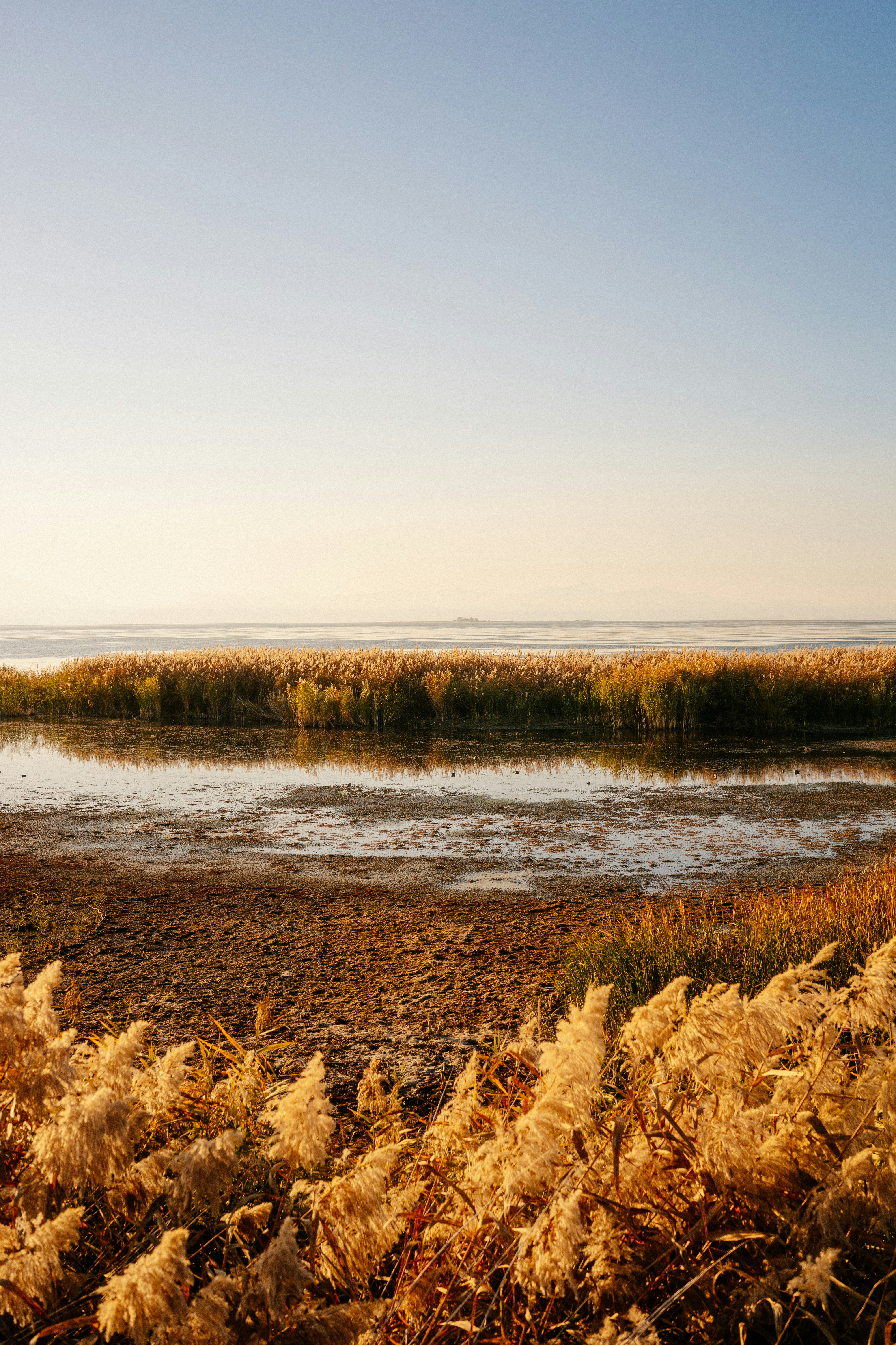 Photo by igorharrier