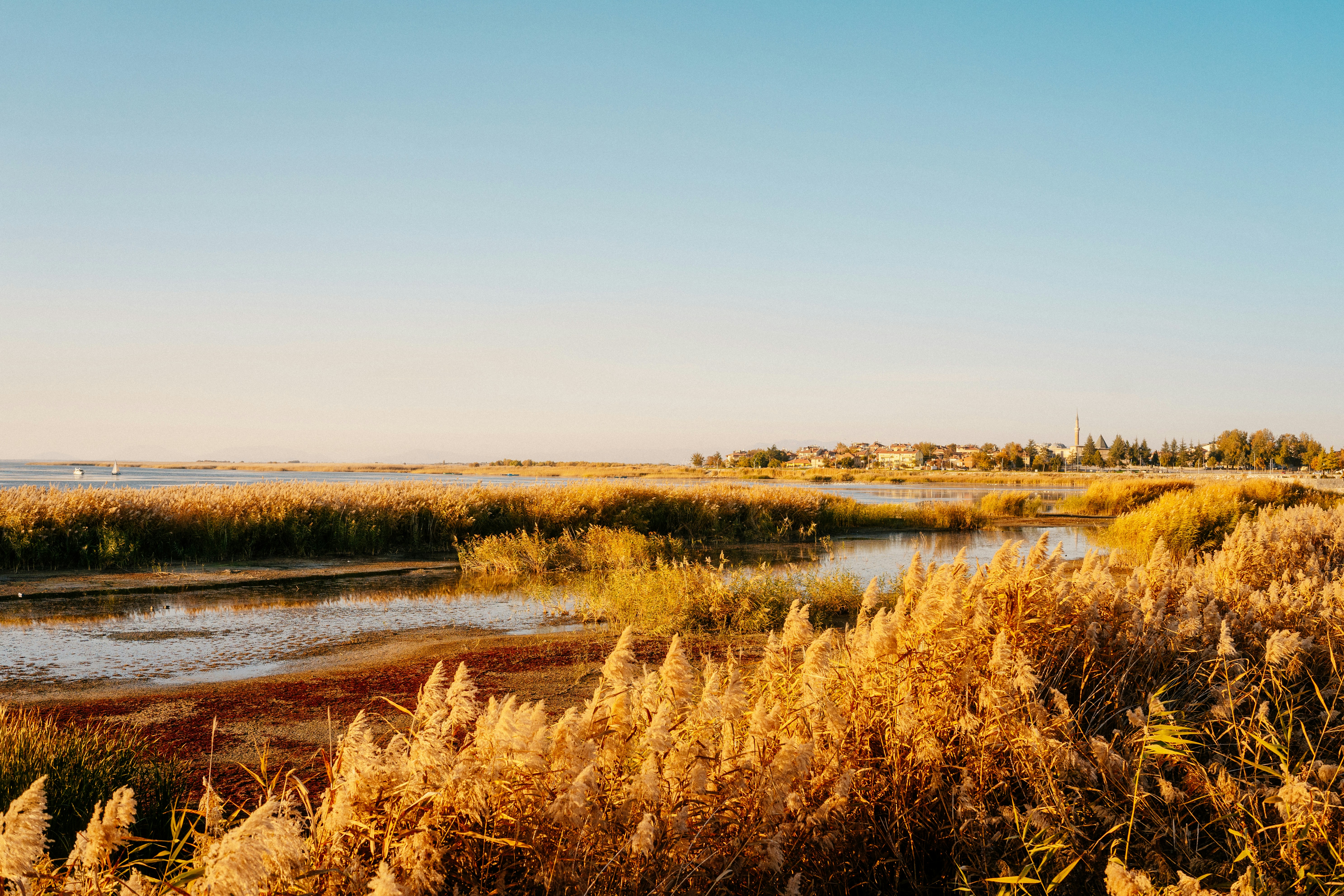 Photo by igorharrier