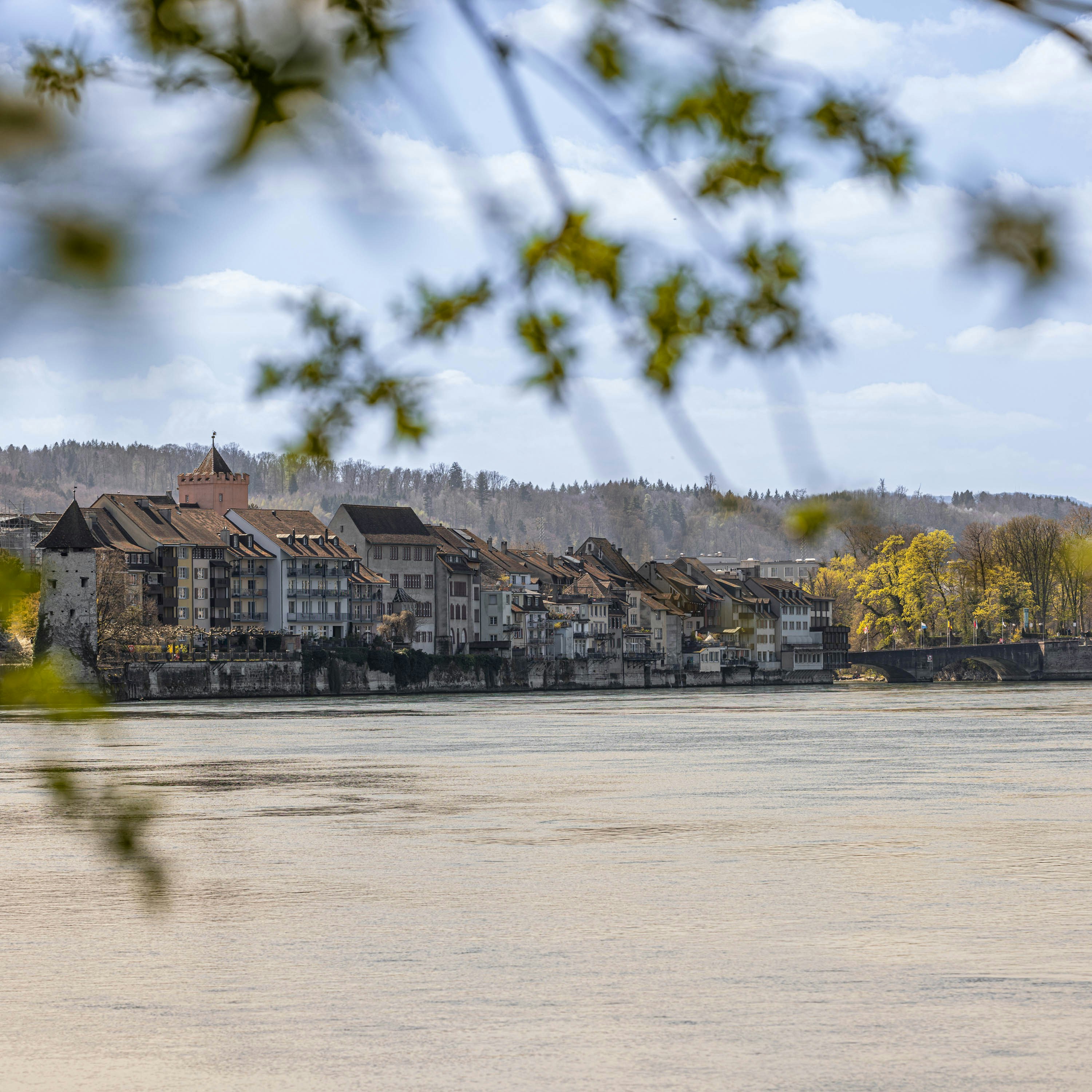 Photo by rmpmediaproduction