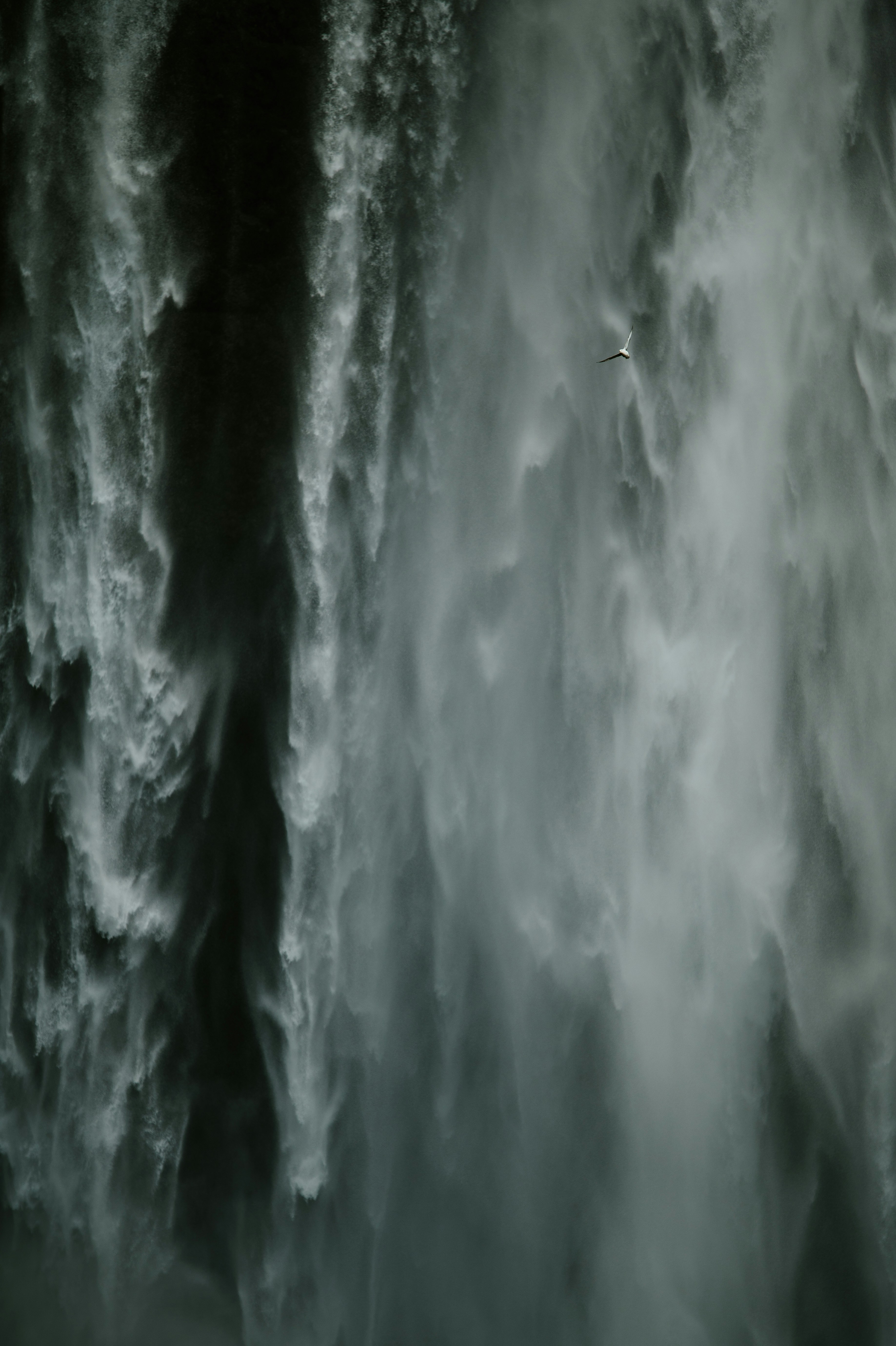 A person standing in front of a waterfall