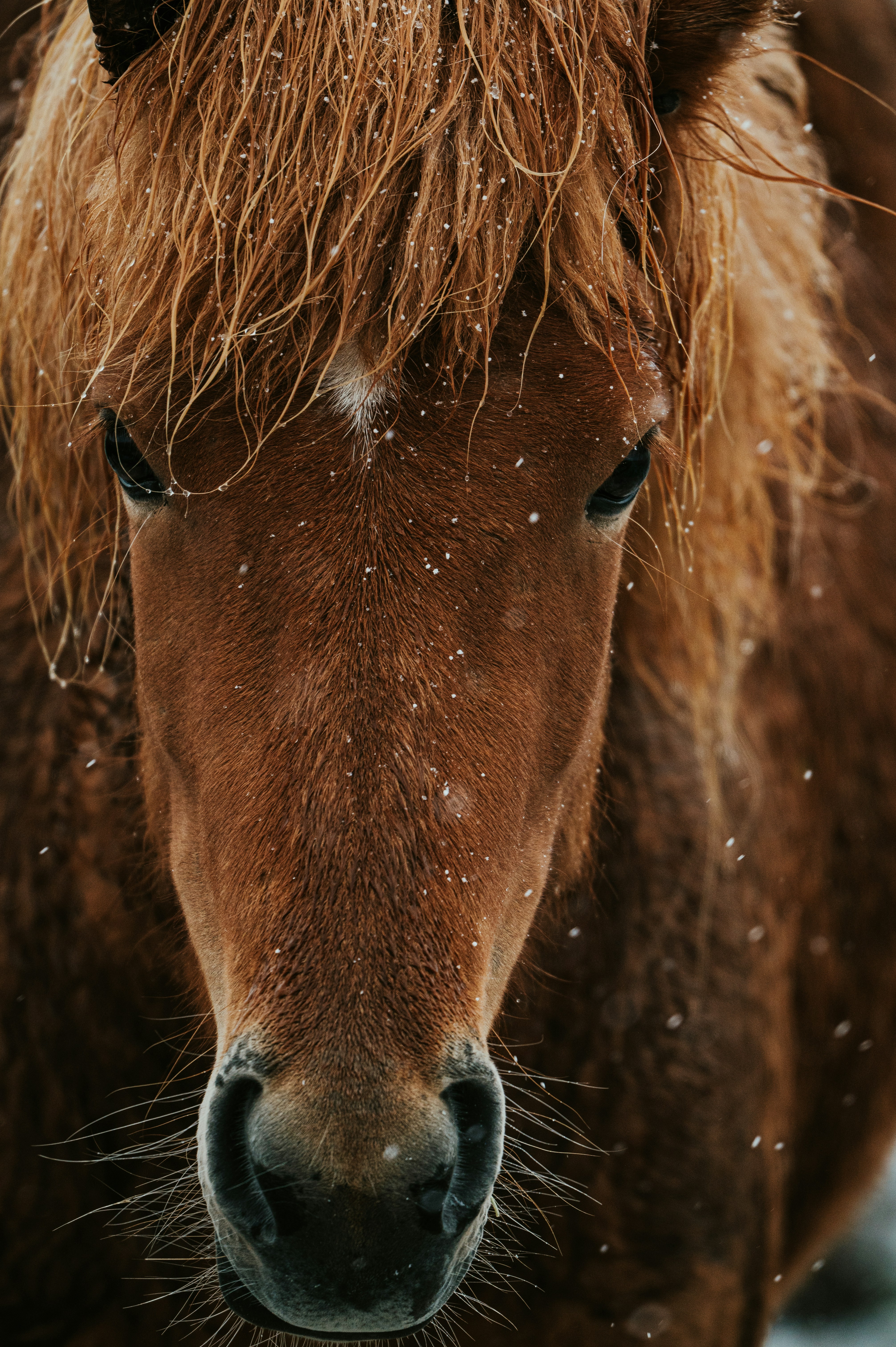 Photo by silassch_92