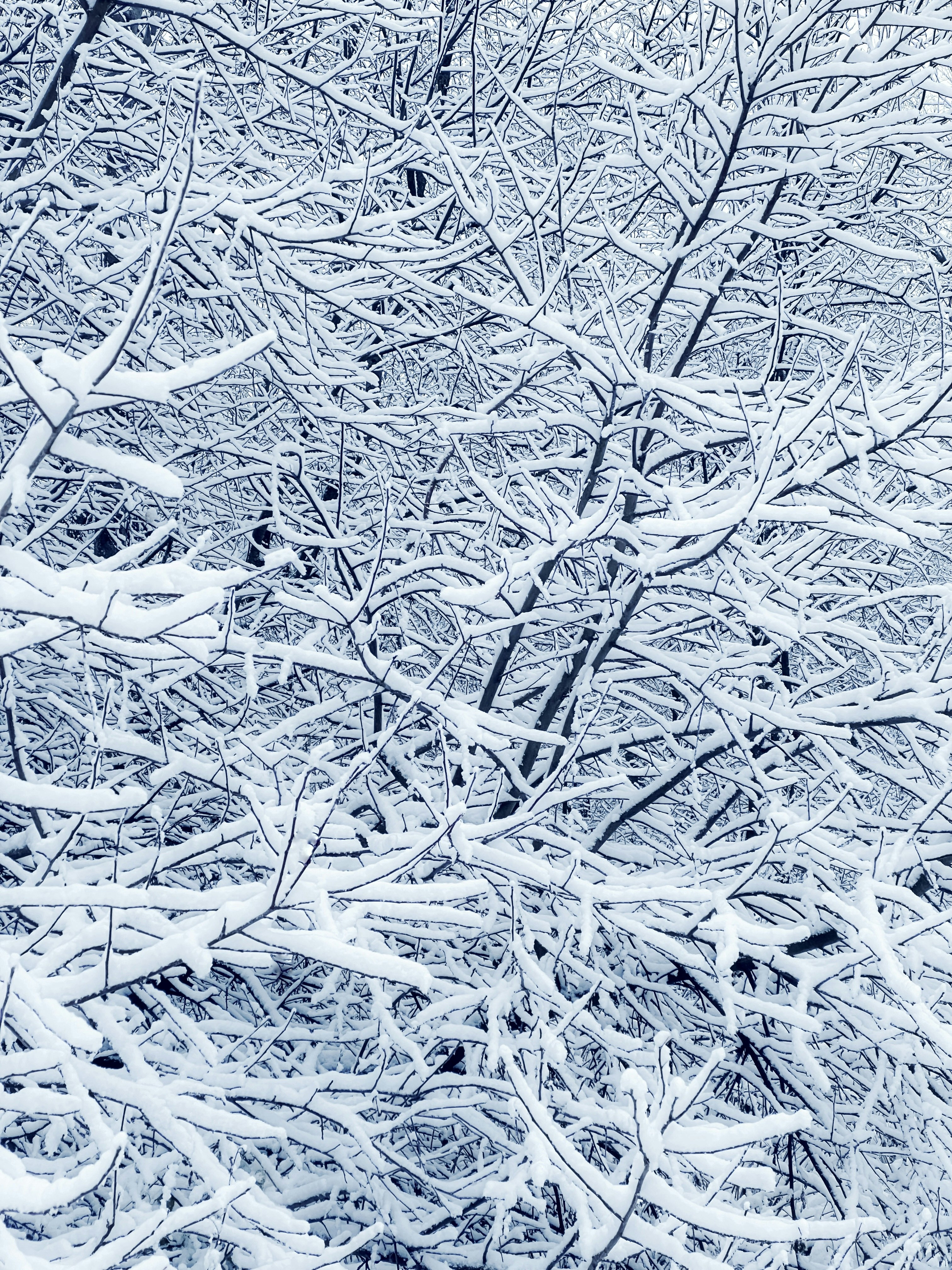 Photo by eugene_golovesov