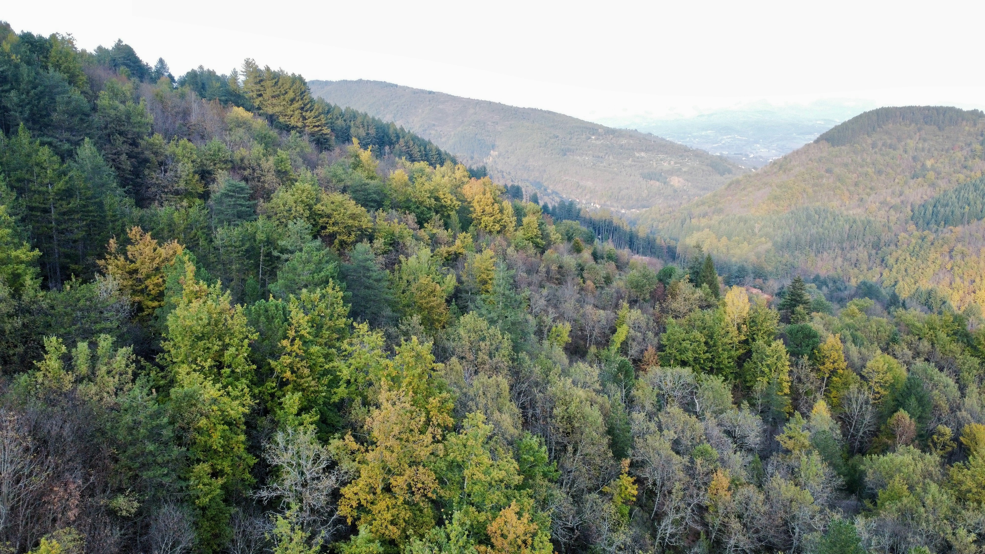 Photo by matteoborri