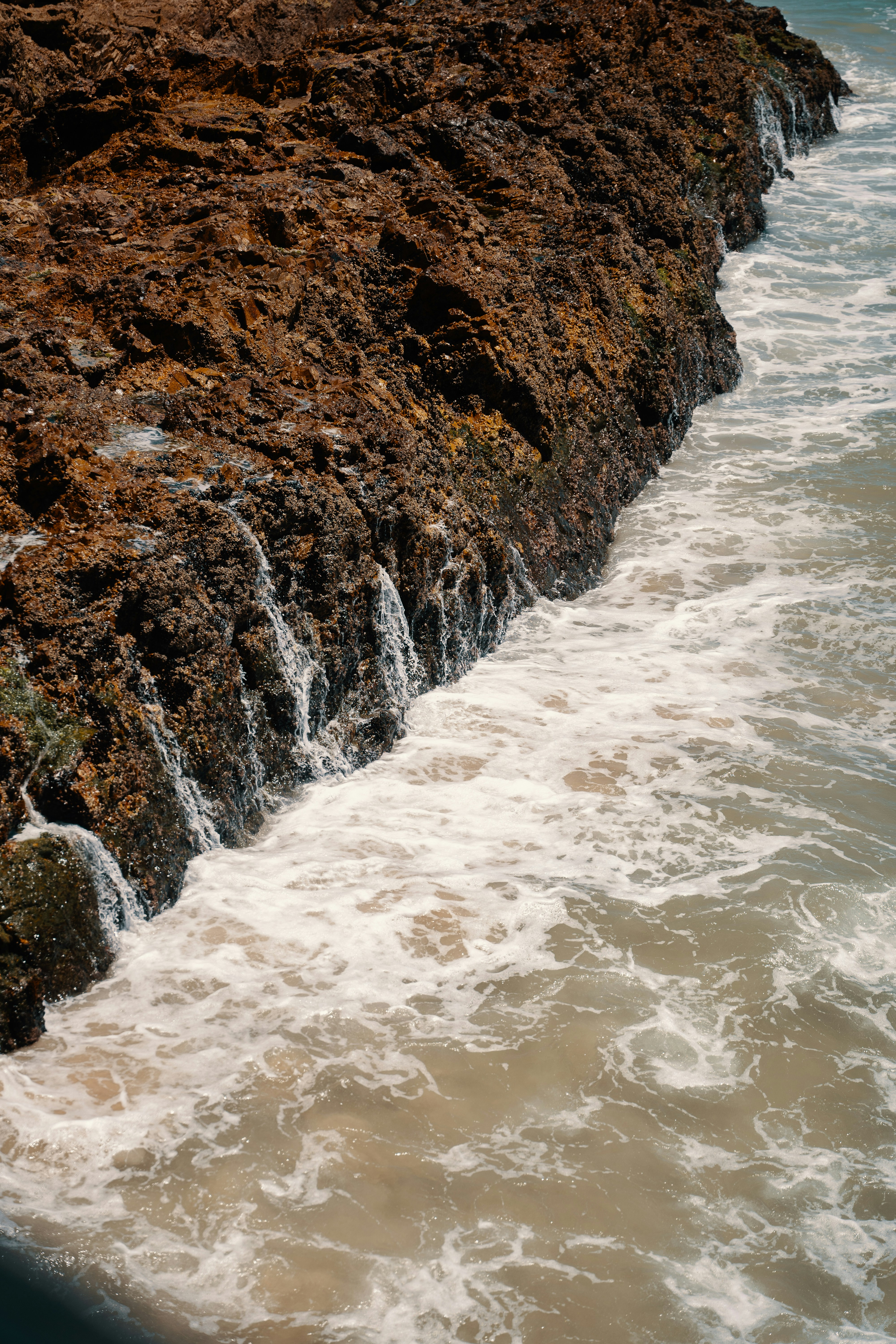 Ein Vogel, der auf einem Felsen neben dem Meer sitzt