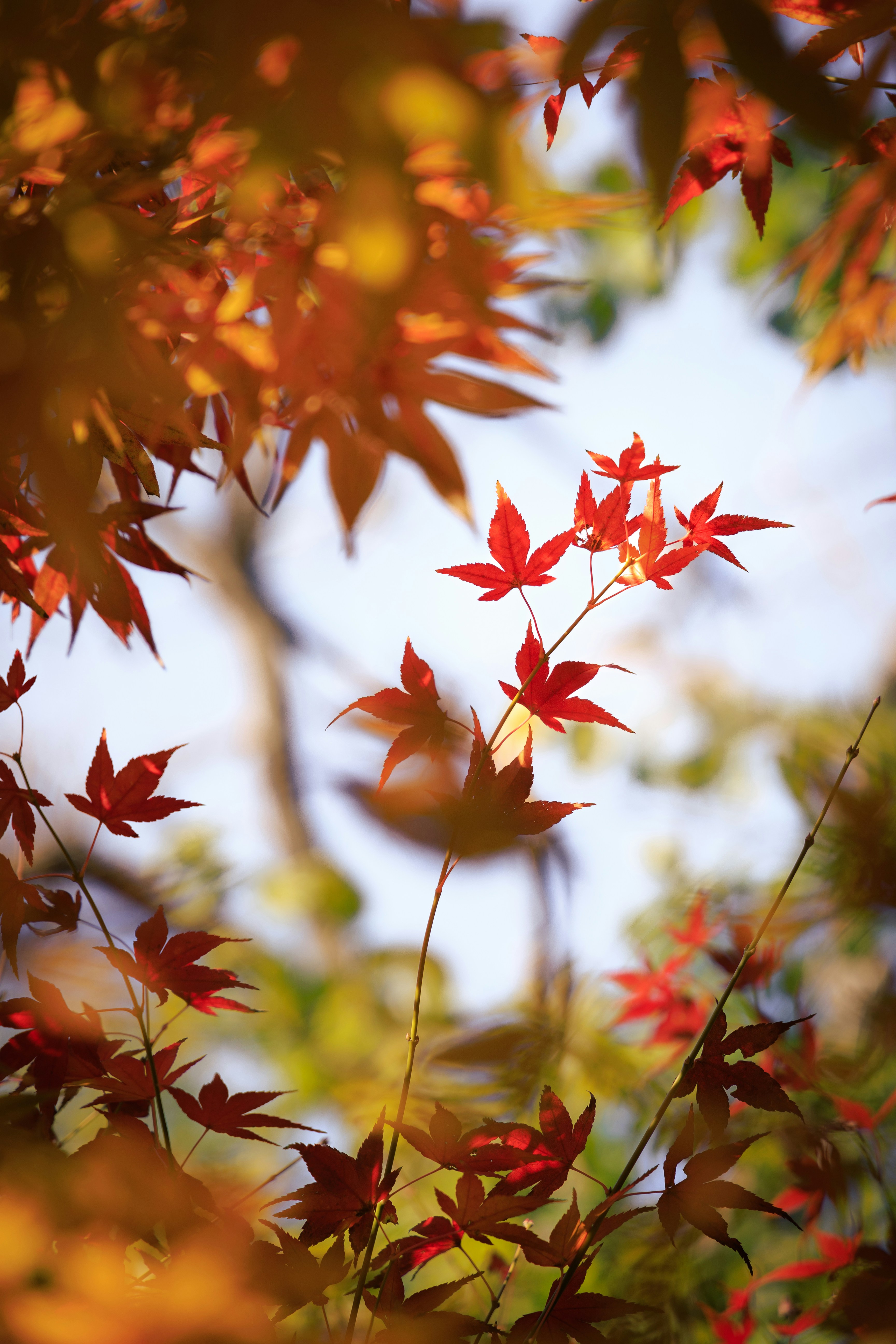 Photo by wenhao_ruan