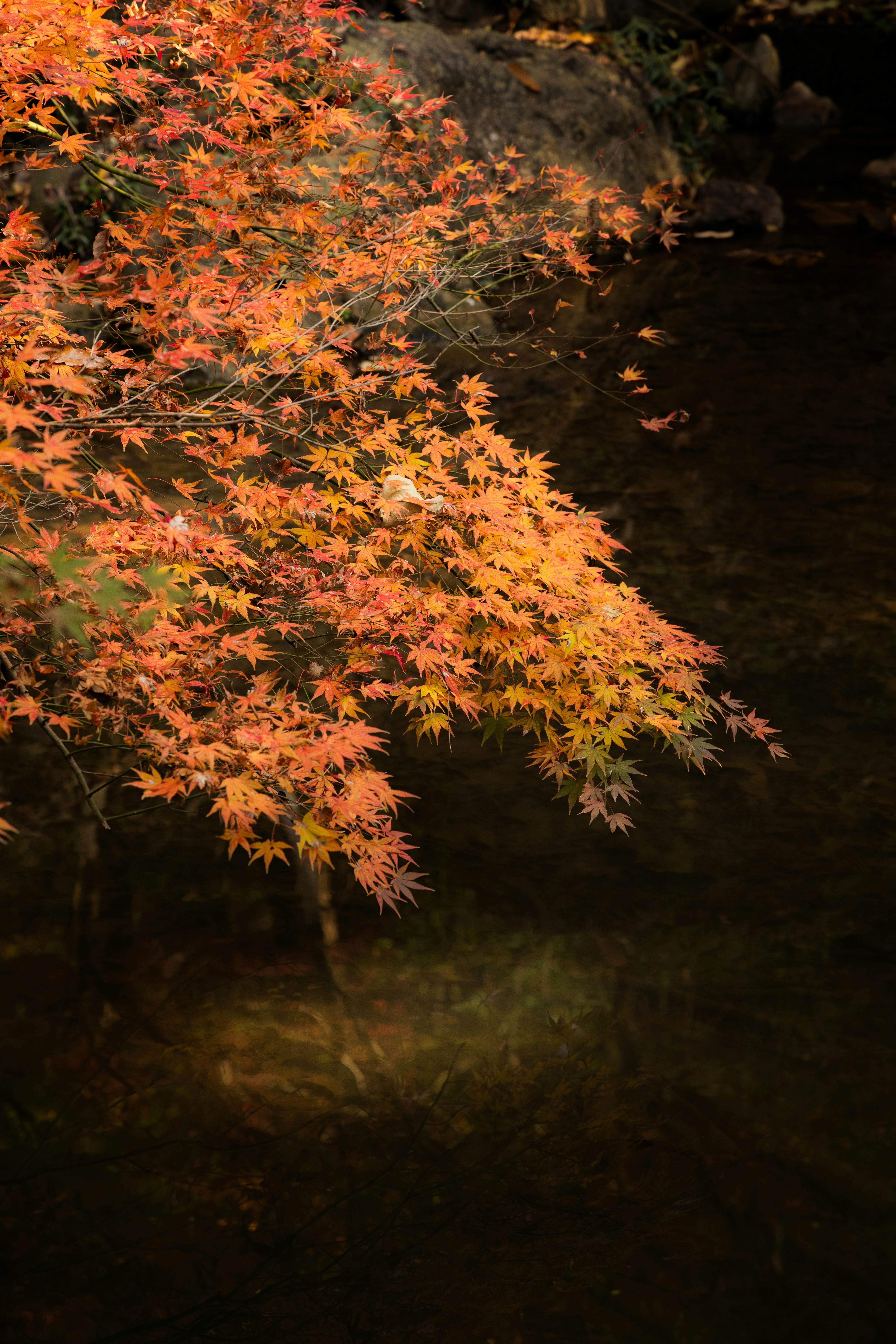 Photo by wenhao_ruan