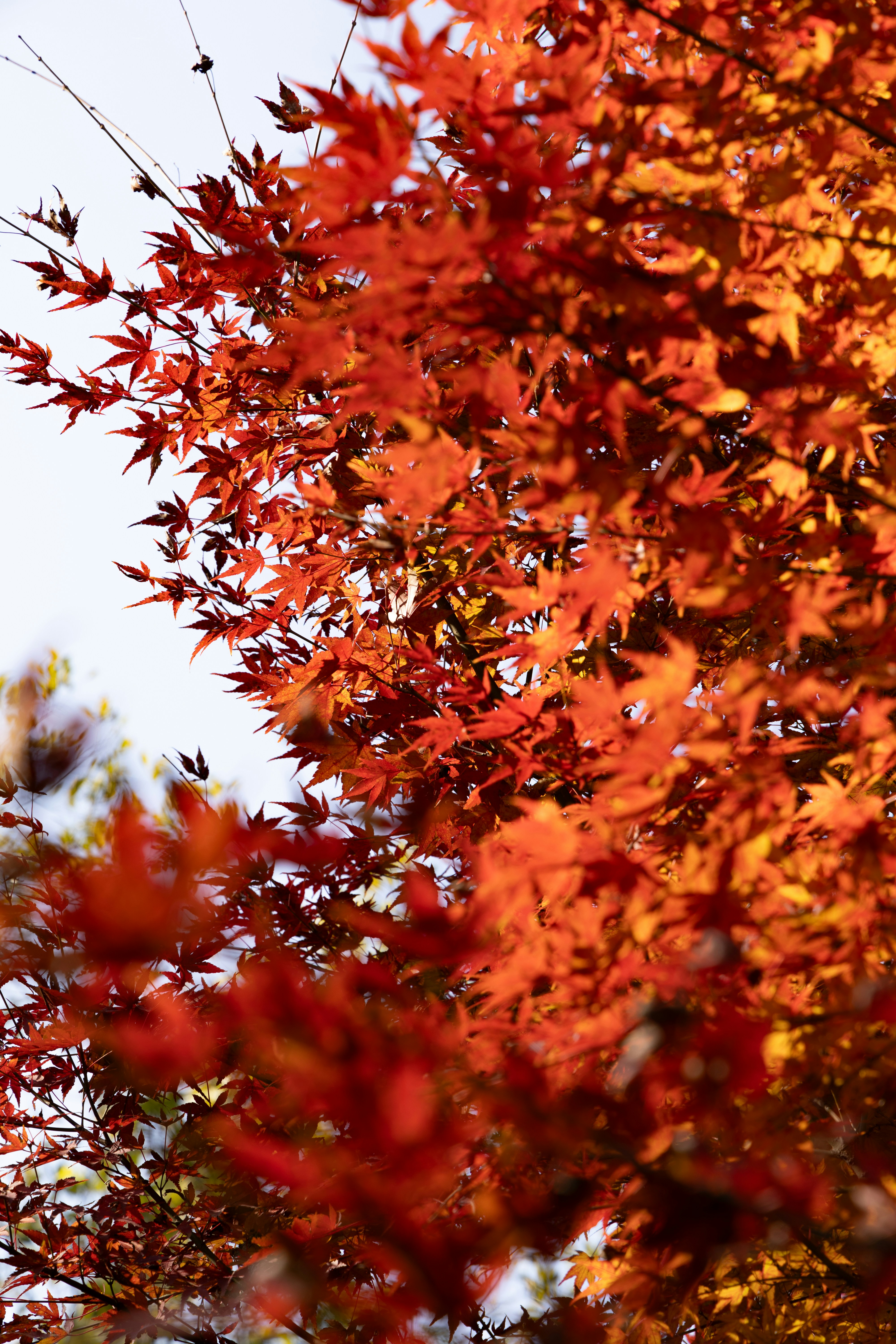 Photo by wenhao_ruan