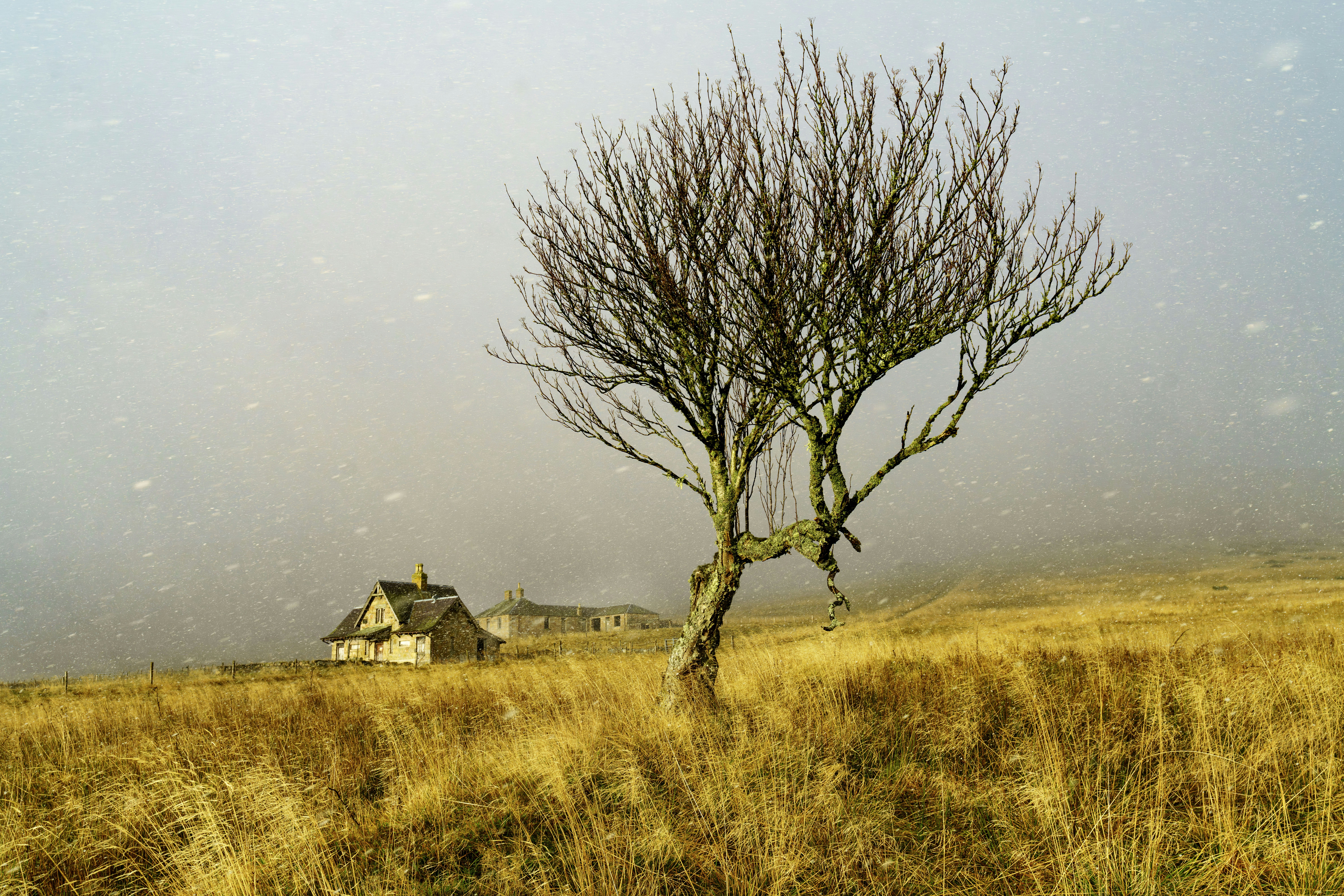 Photo by martinbennie