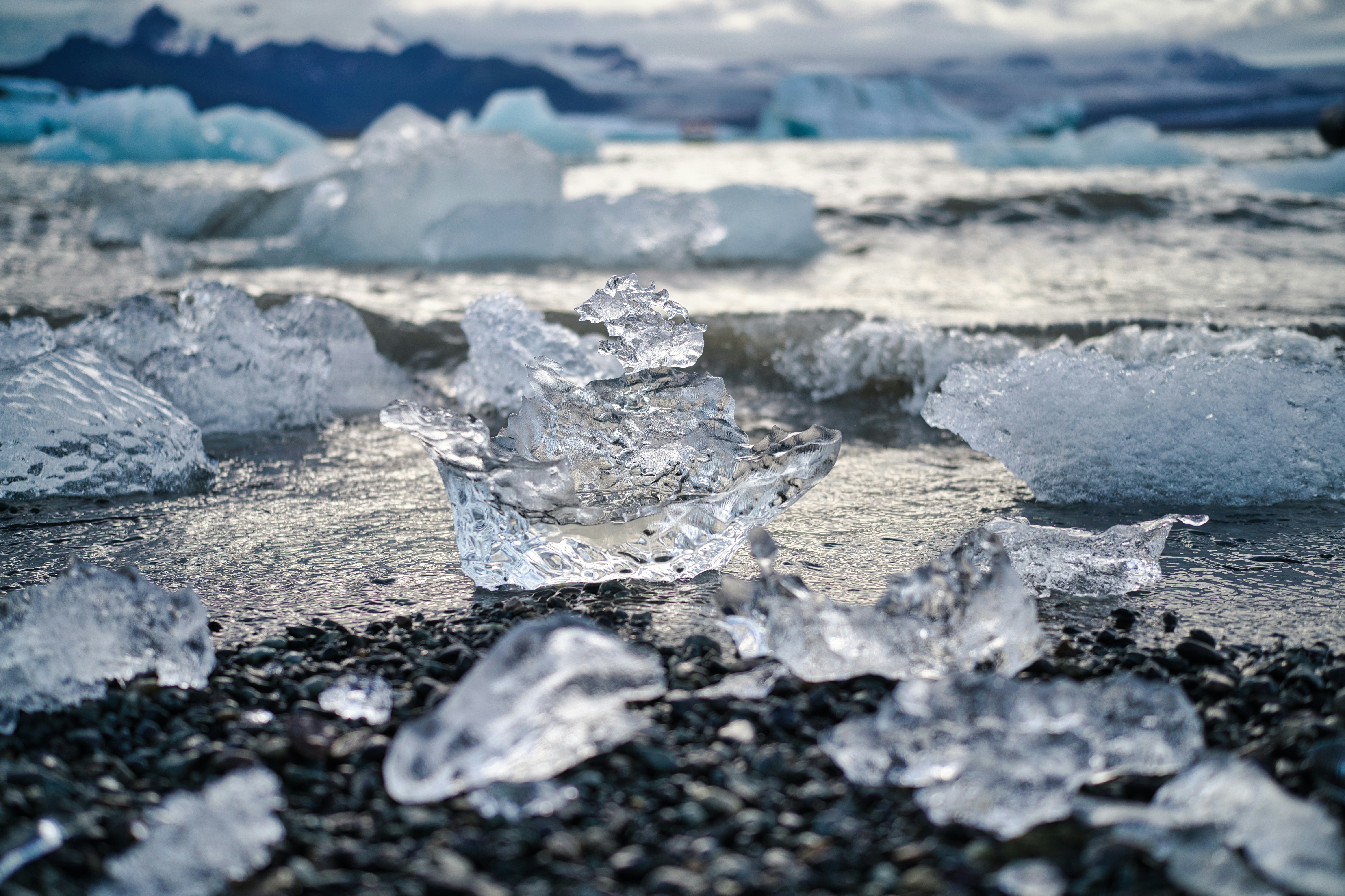 The Climate Connection (image credits: unsplash)