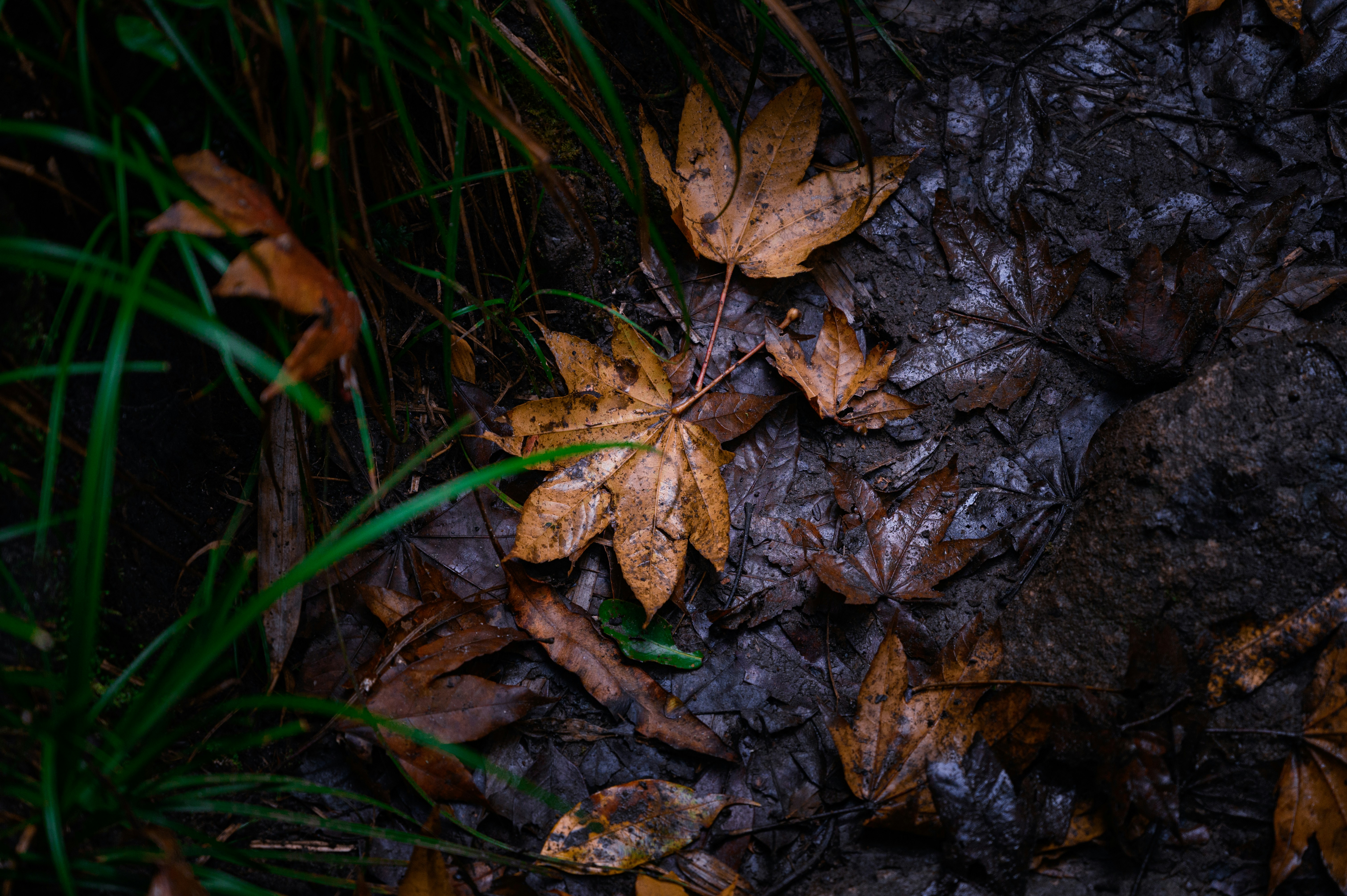 Photo by manhterry93