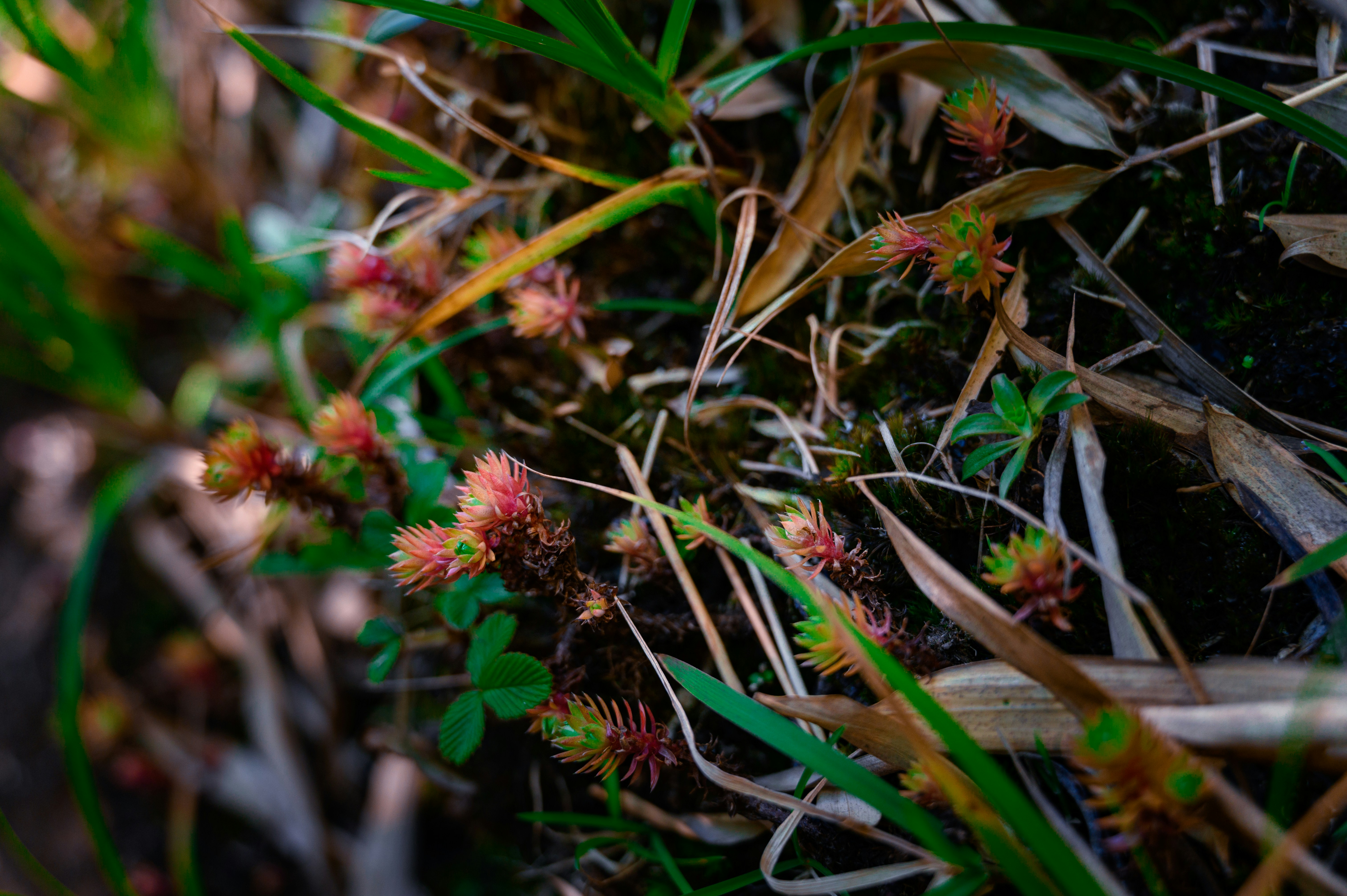 Photo by manhterry93