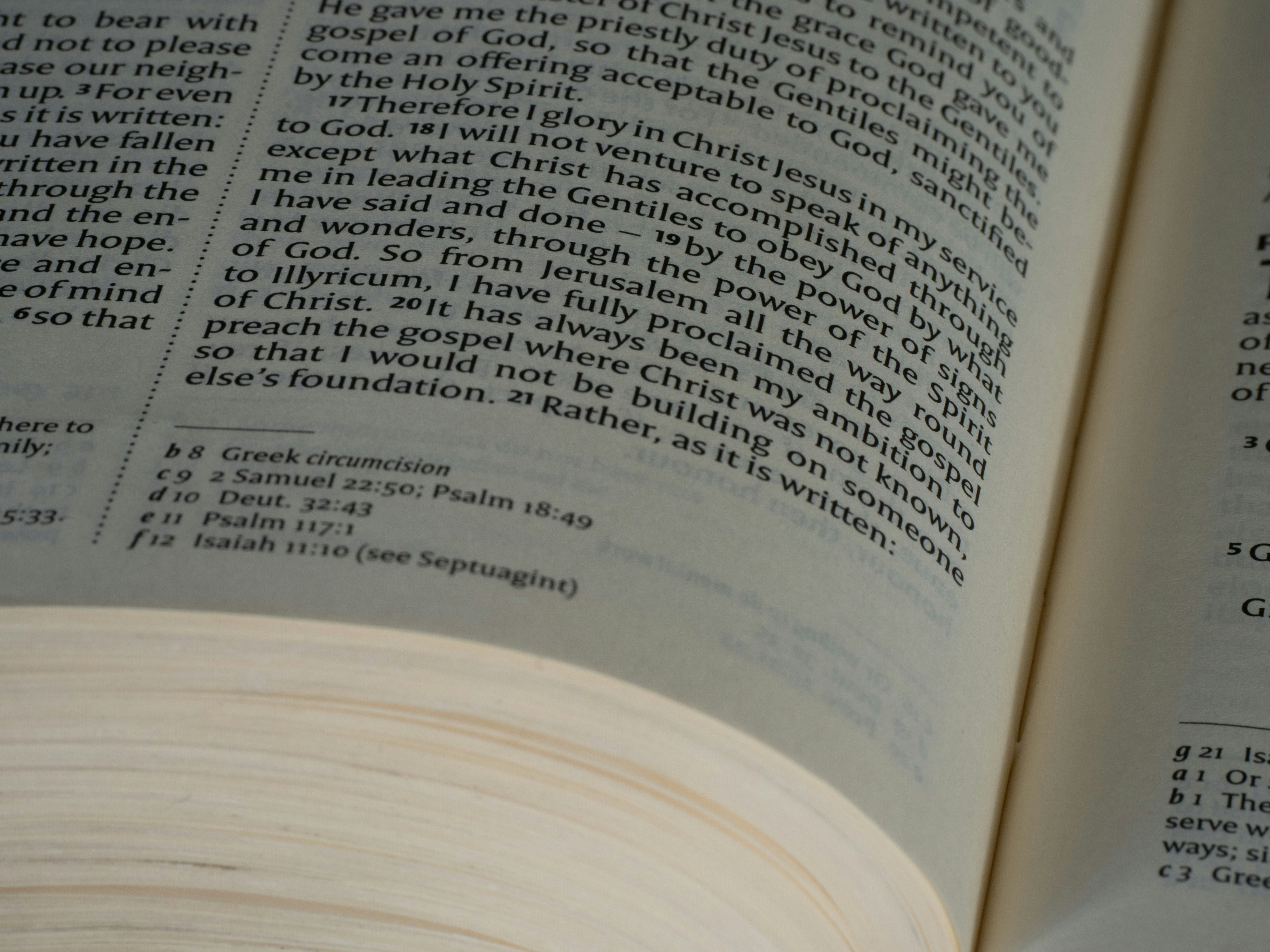 Photo by brett_jordan