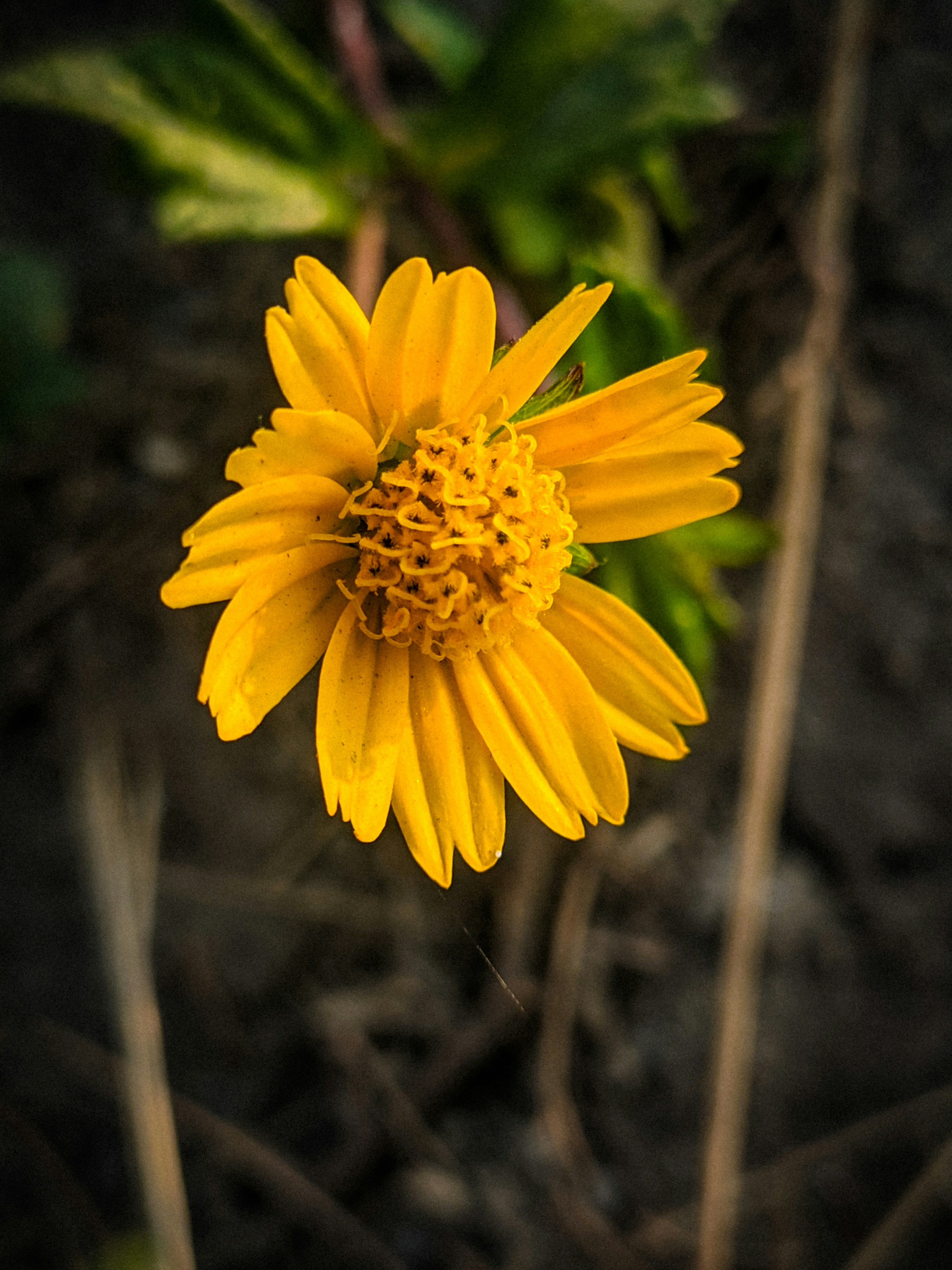 Photo by shotbywoliul