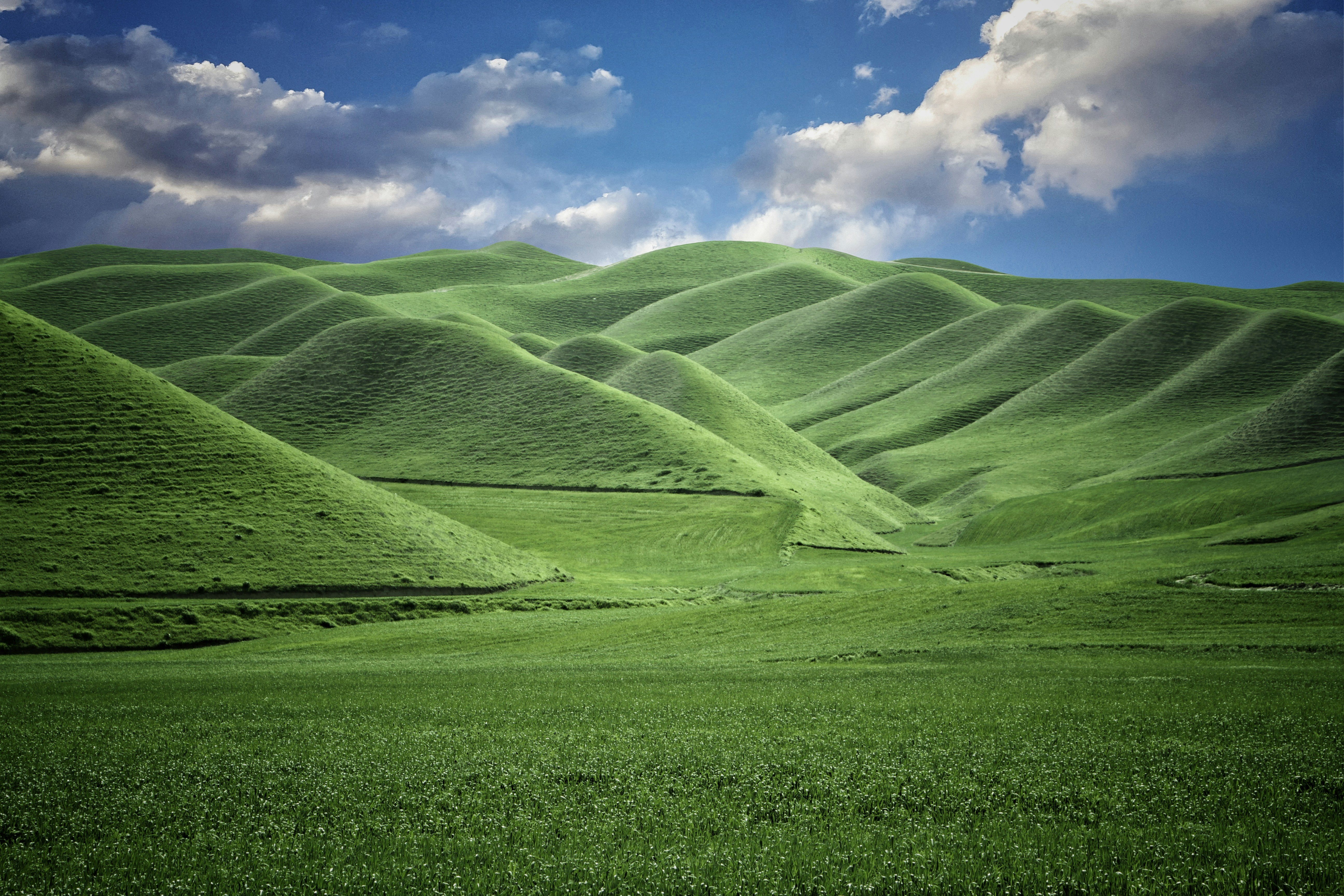 Photo by hasanalmasi