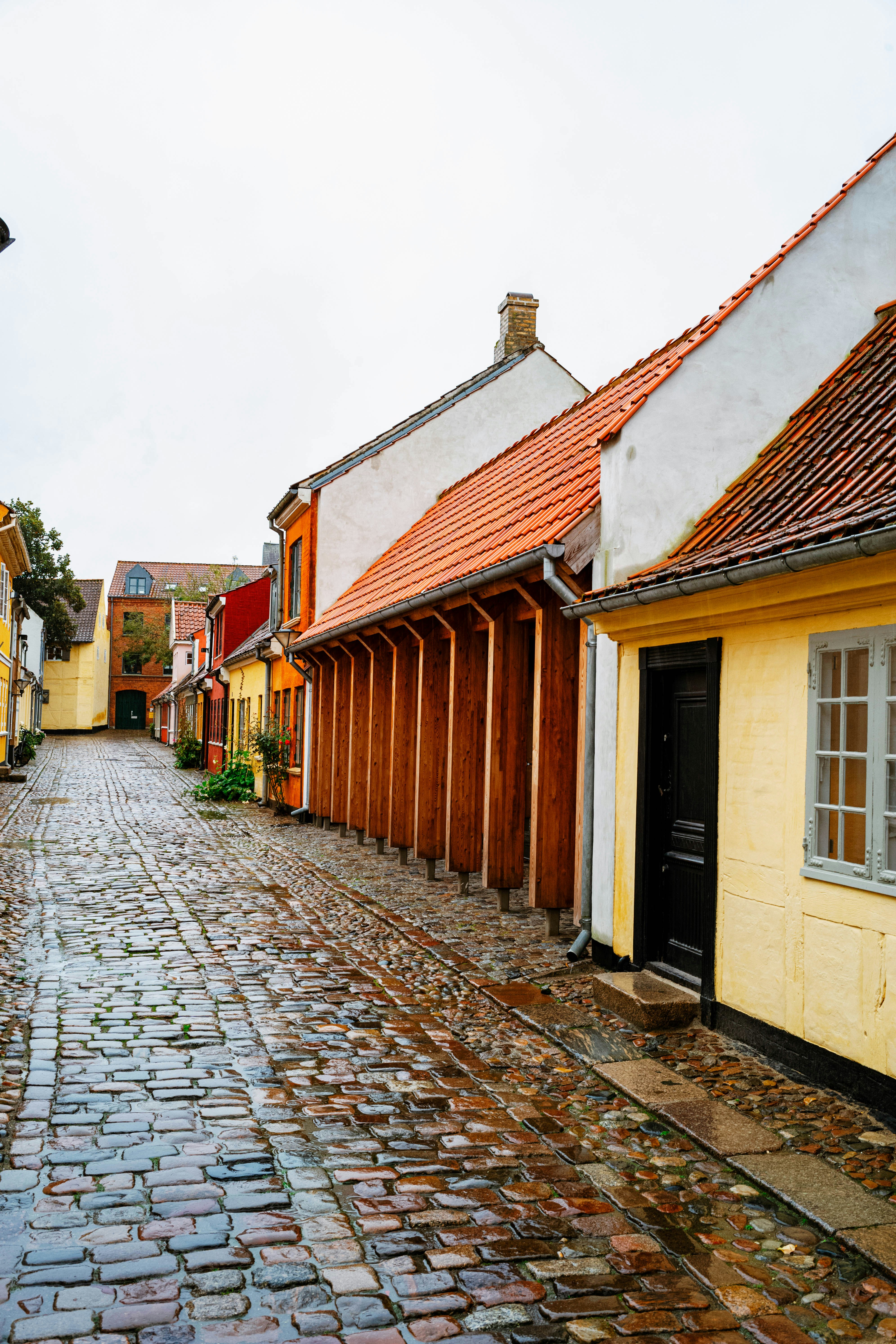 Photo by tommaomaoer